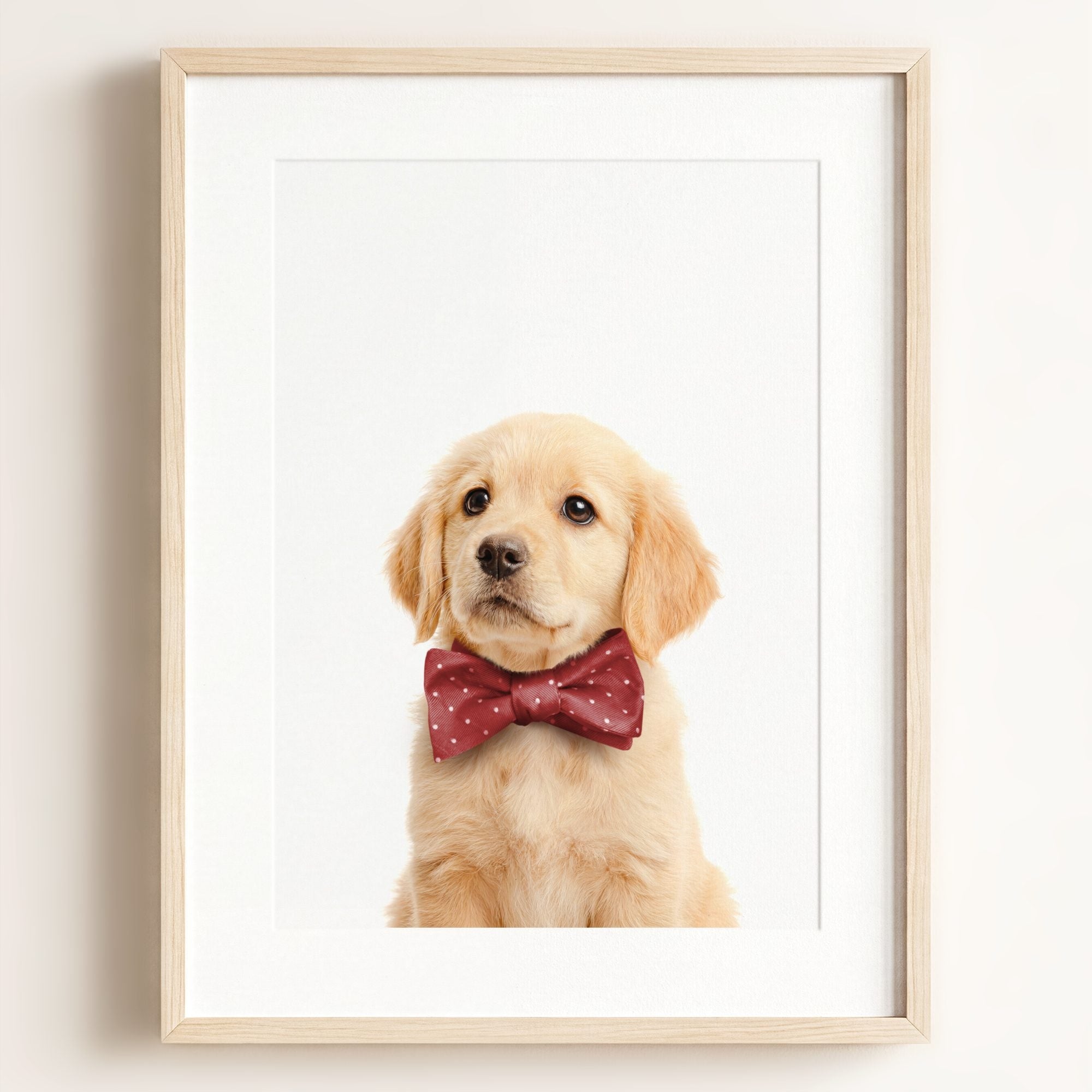 Baby Puppy Golden Retriever Portrait