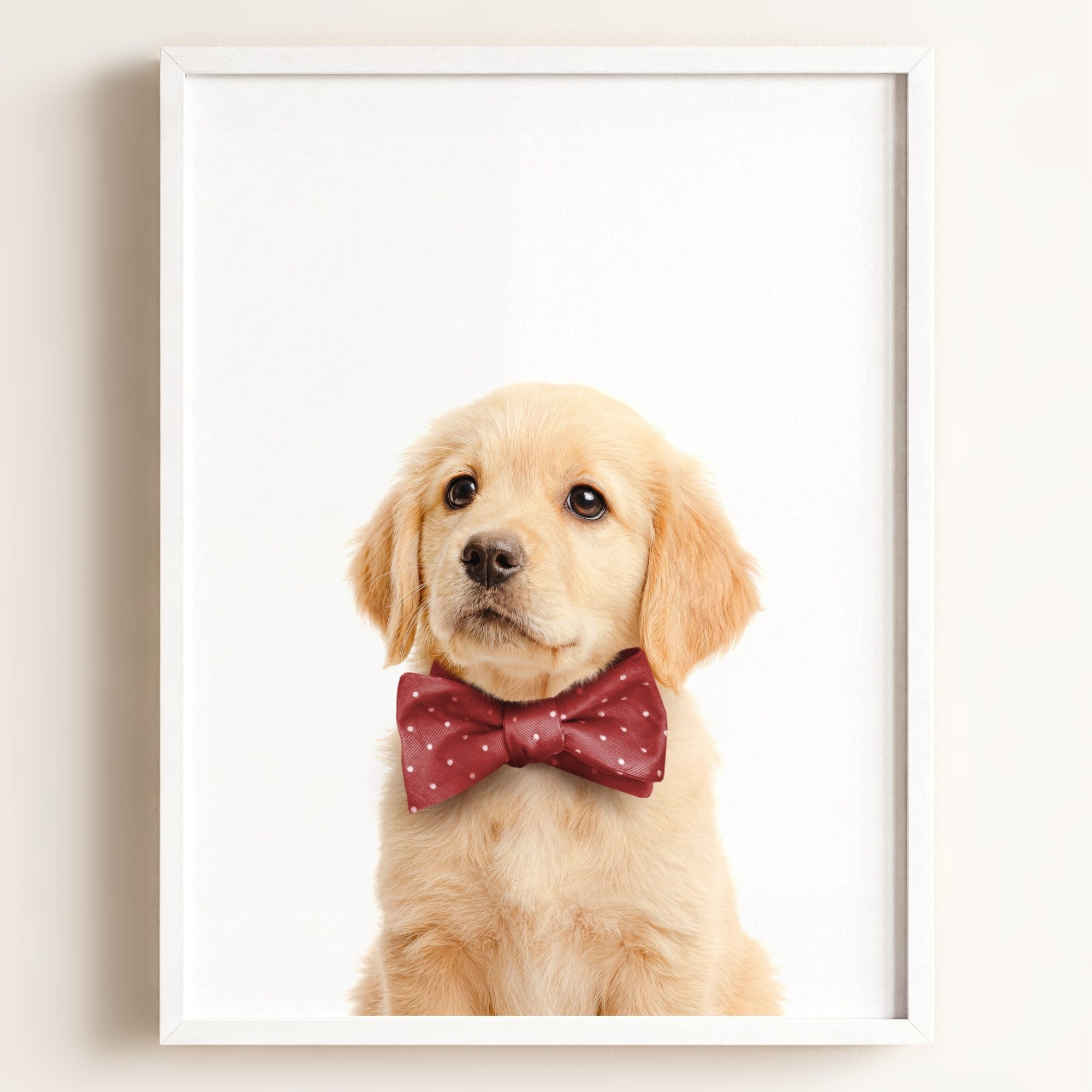 Baby Puppy Golden Retriever Portrait