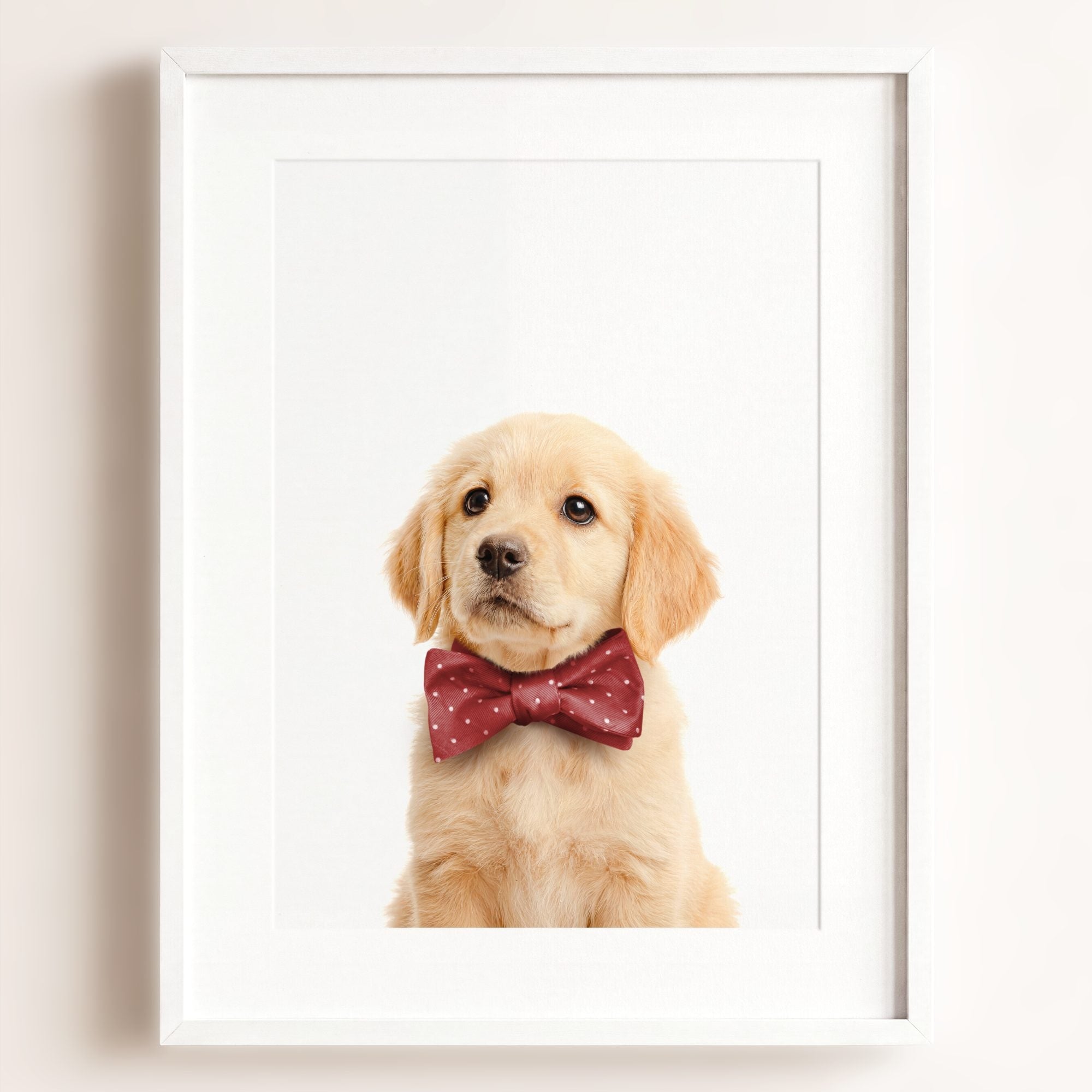Baby Puppy Golden Retriever Portrait