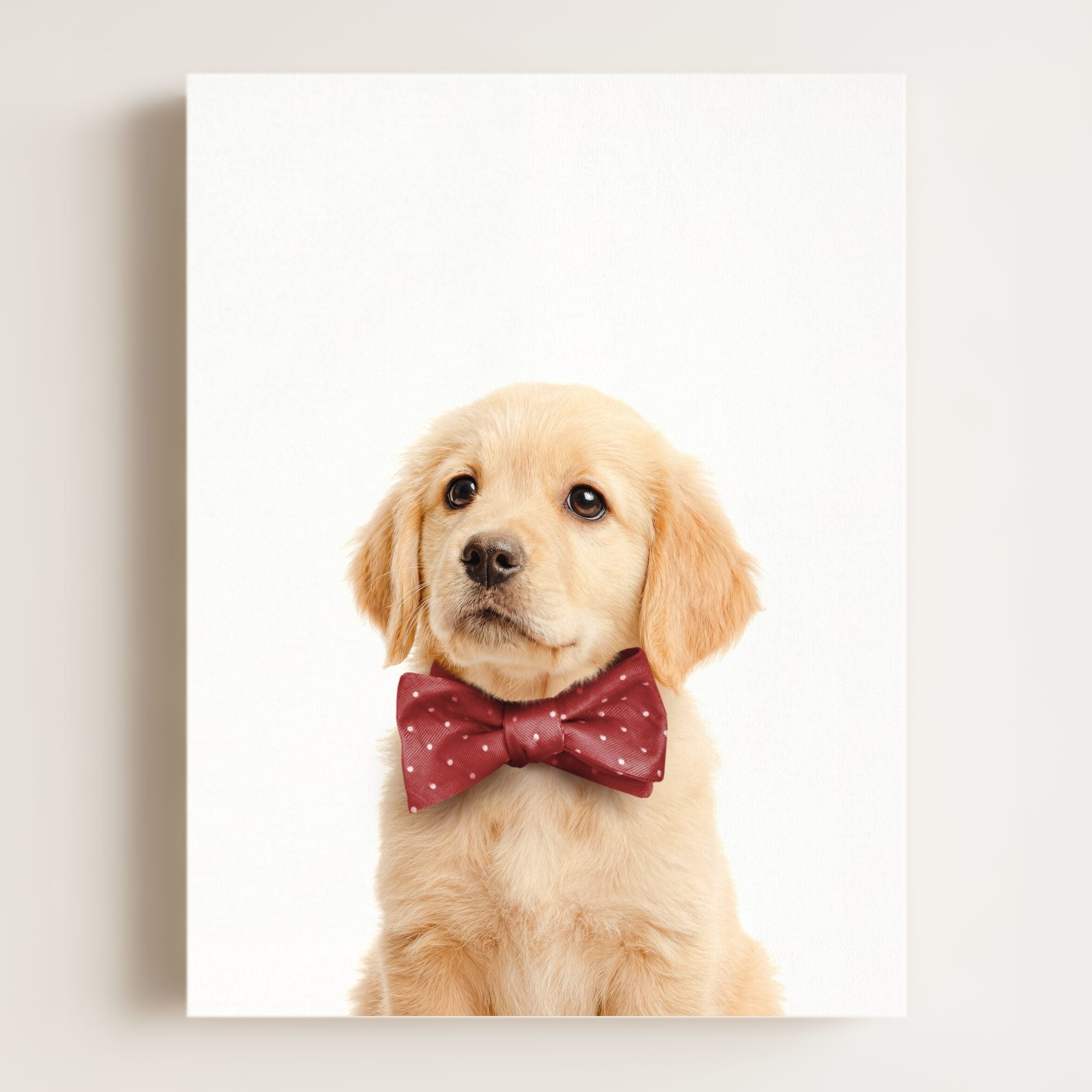 Baby Puppy Golden Retriever Portrait