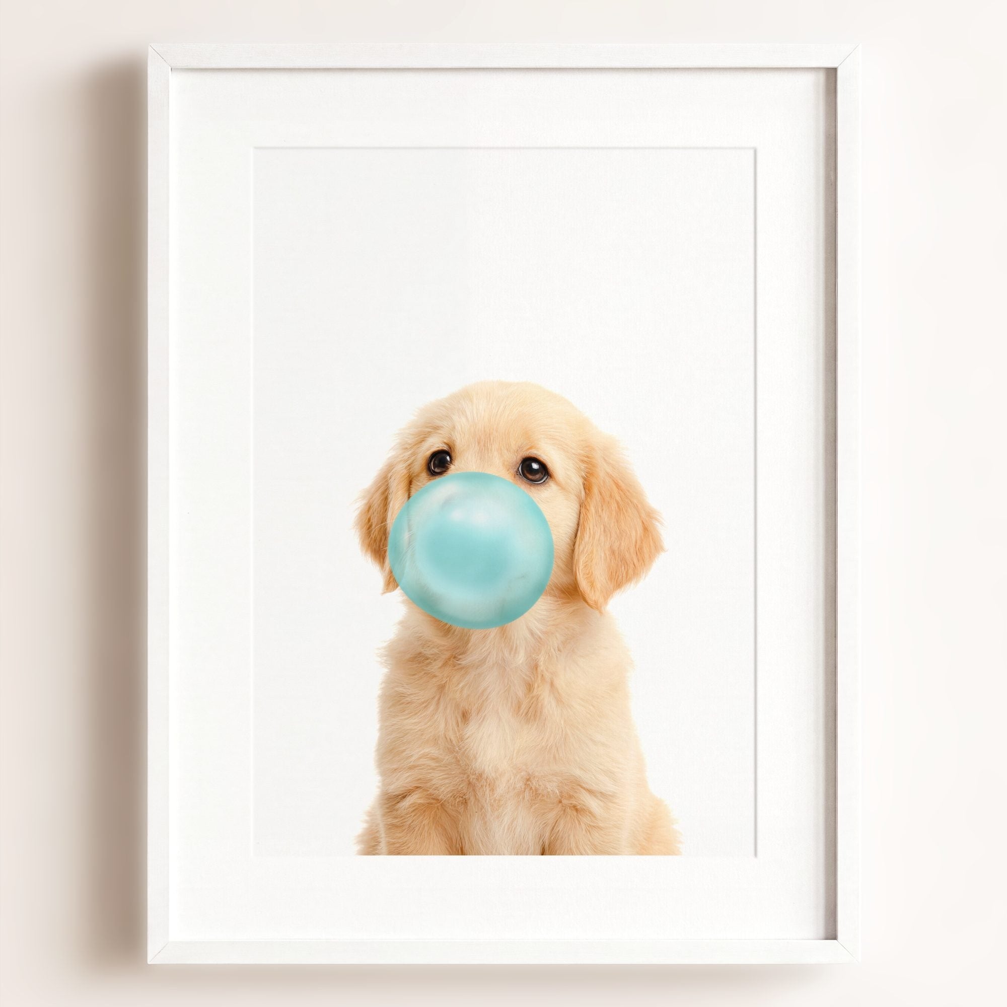 Baby Puppy Golden Retriever Portrait