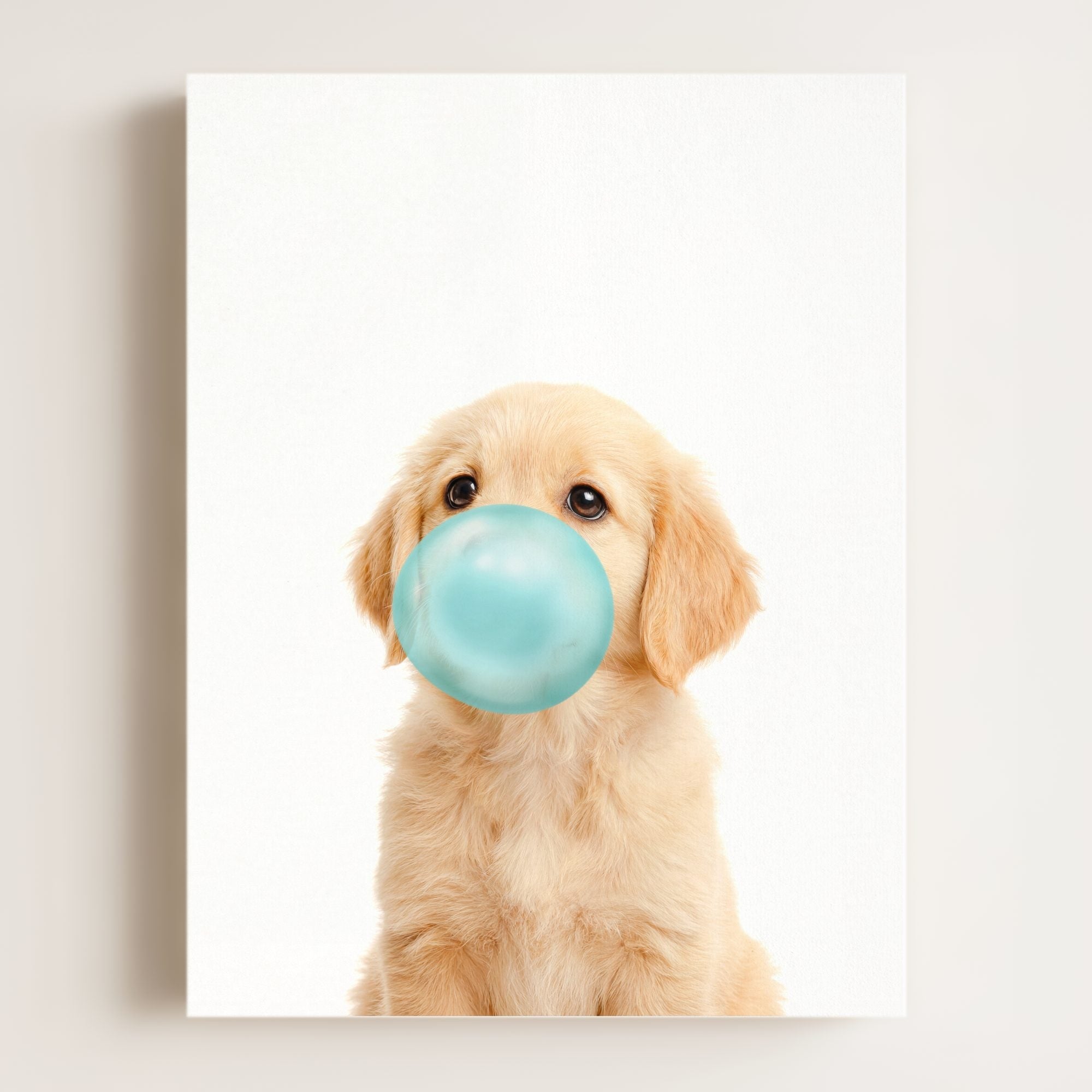 Baby Puppy Golden Retriever Portrait