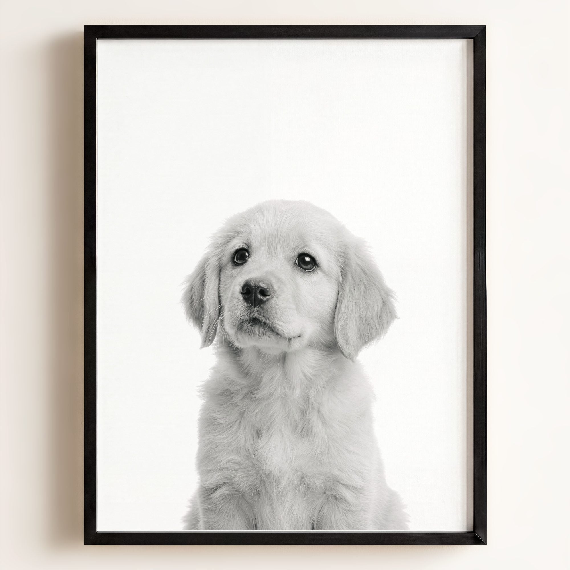Baby Puppy Golden Retriever Portrait