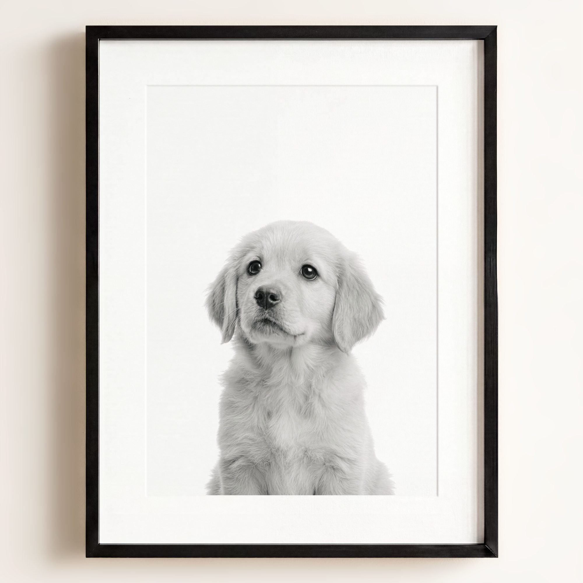 Baby Puppy Golden Retriever Portrait