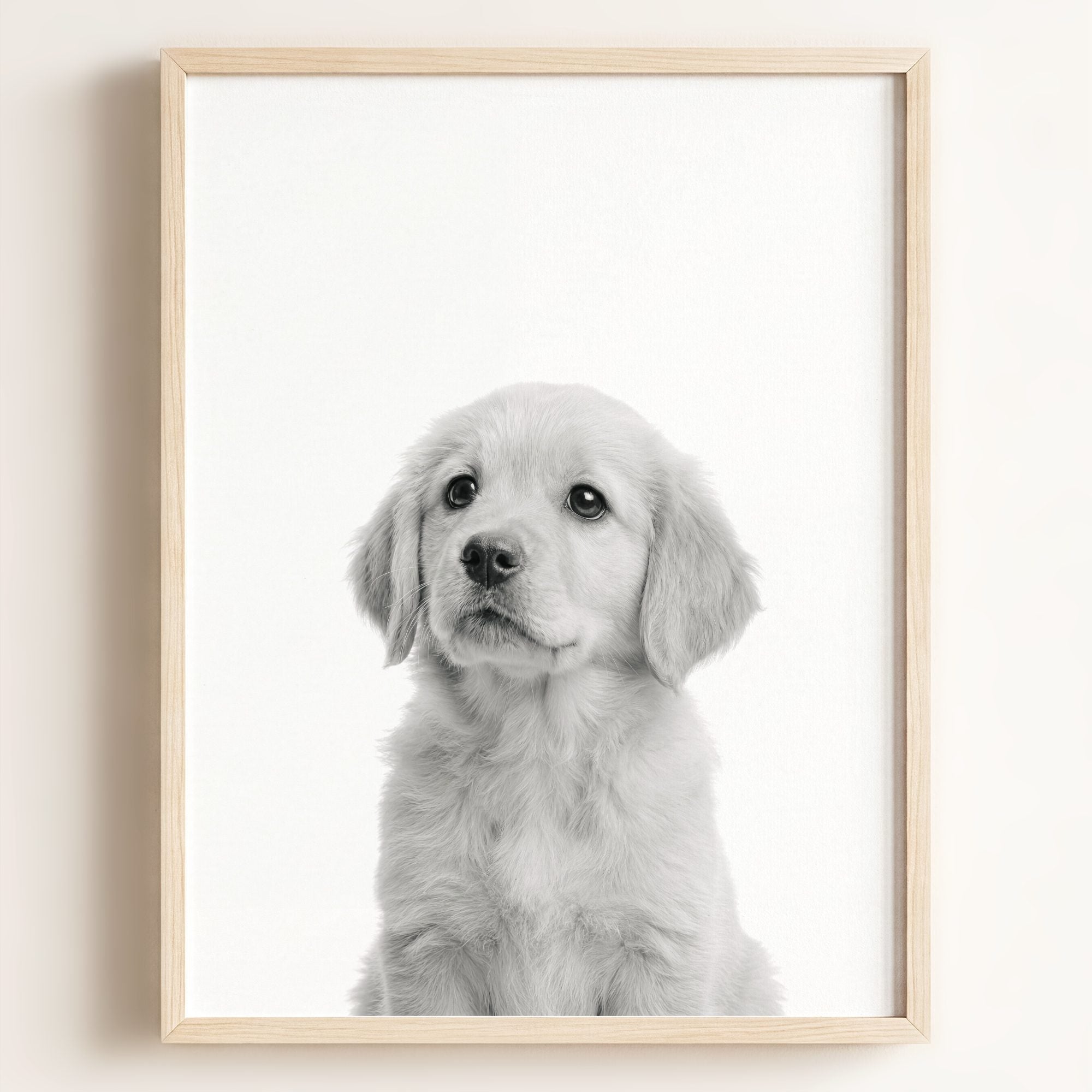 Baby Puppy Golden Retriever Portrait