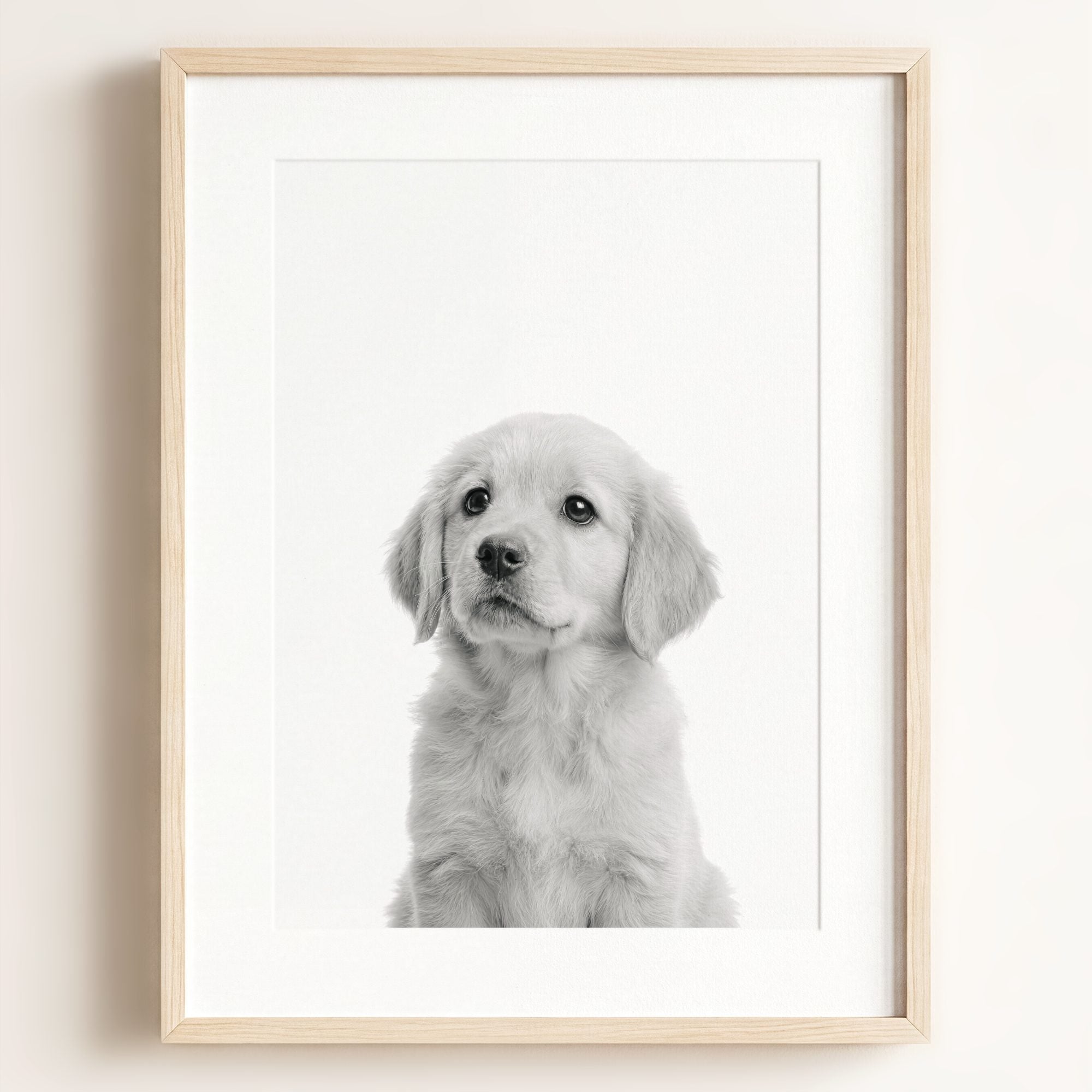 Baby Puppy Golden Retriever Portrait