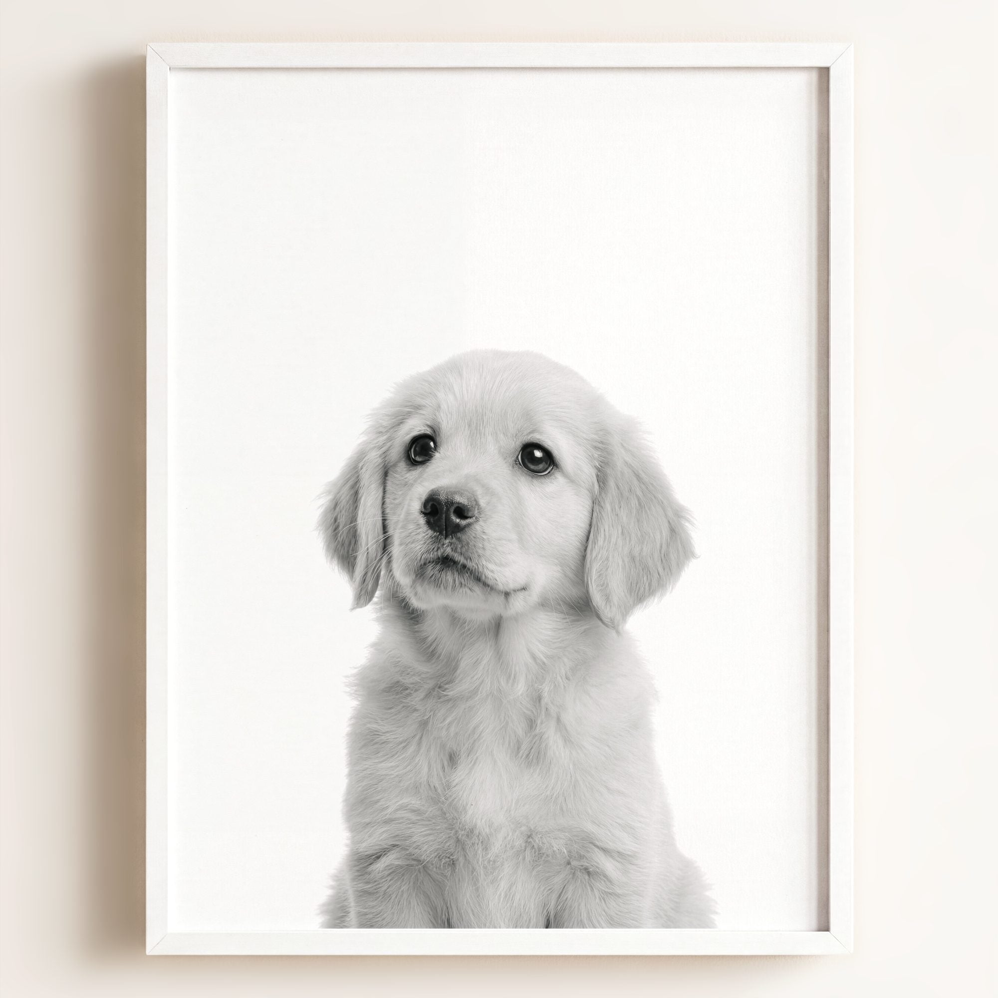 Baby Puppy Golden Retriever Portrait