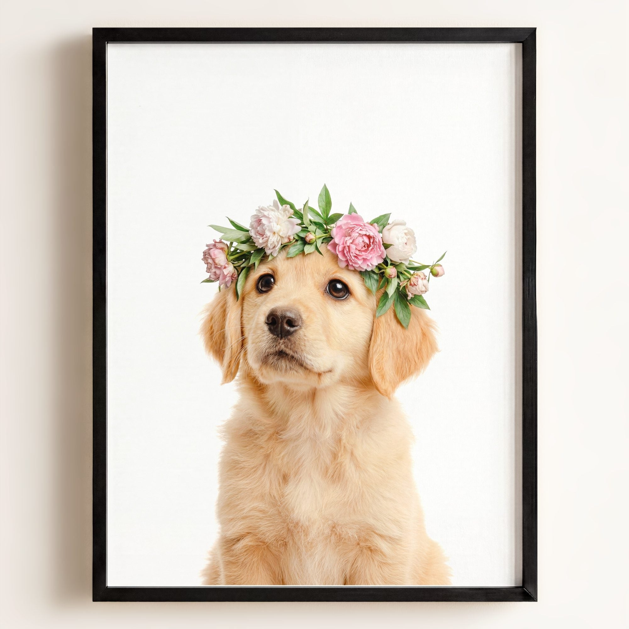 Baby Puppy Golden Retriever Portrait