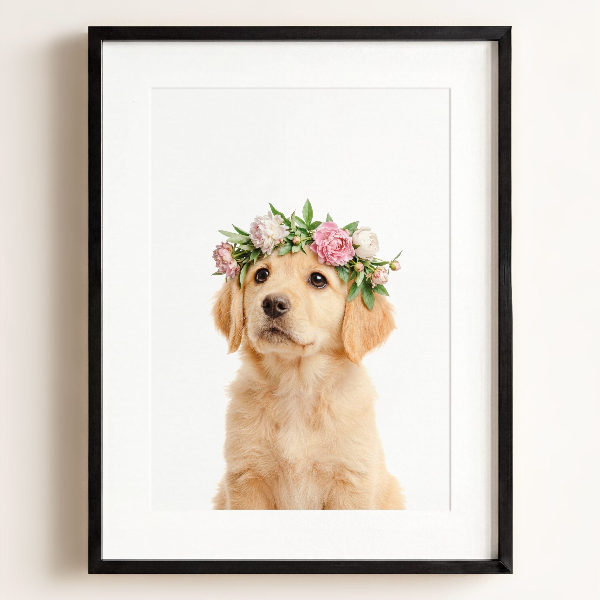 Baby Puppy Golden Retriever Portrait