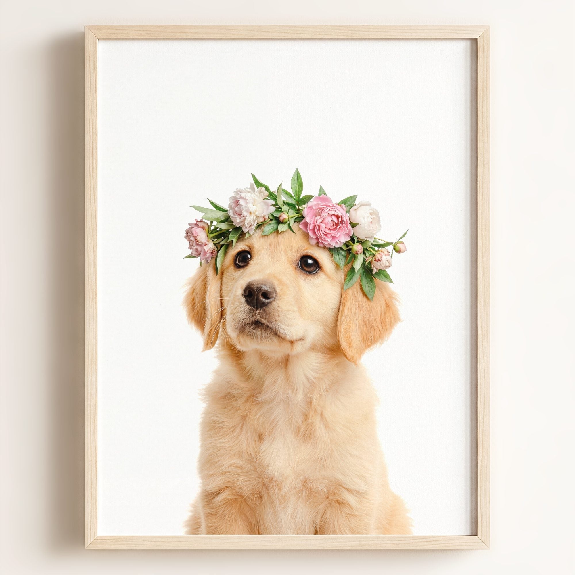 Baby Puppy Golden Retriever Portrait