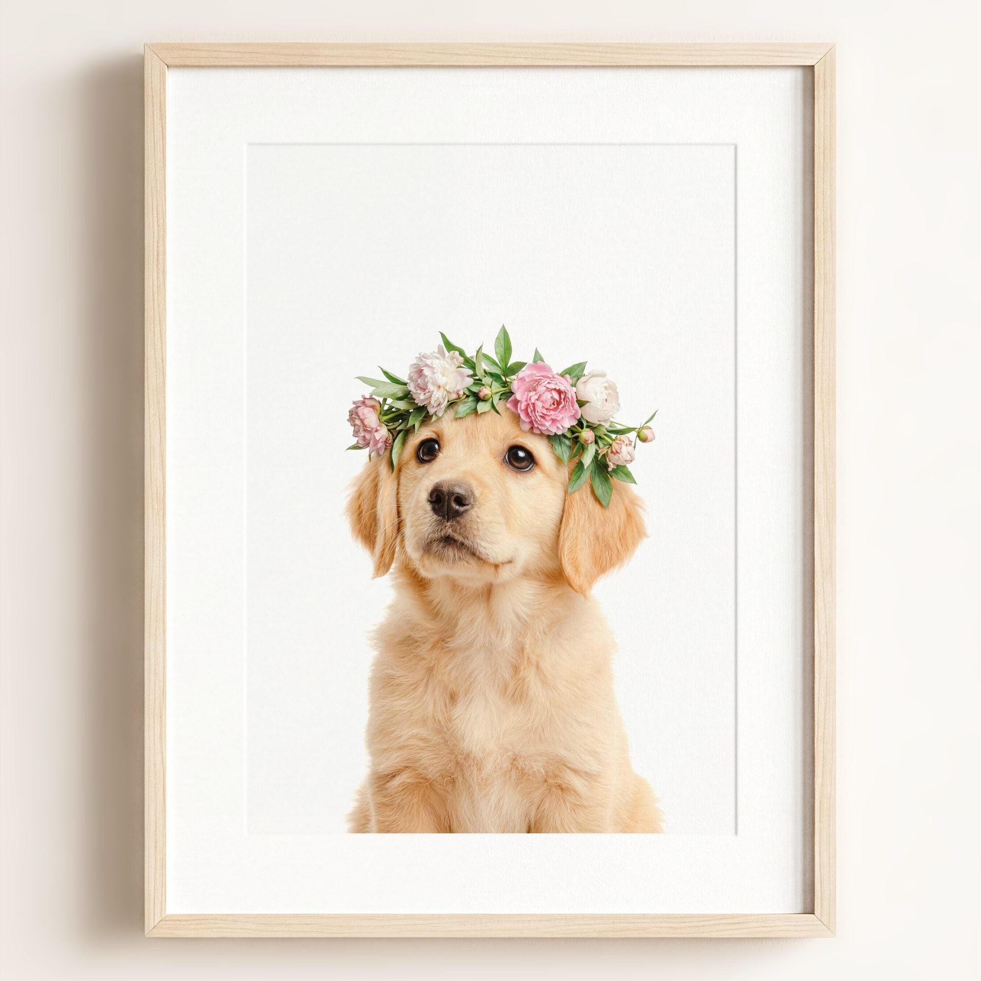 Baby Puppy Golden Retriever Portrait