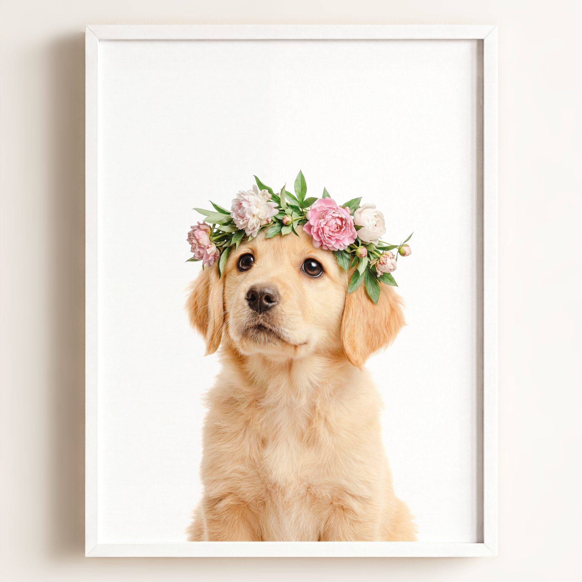 Baby Puppy Golden Retriever Portrait