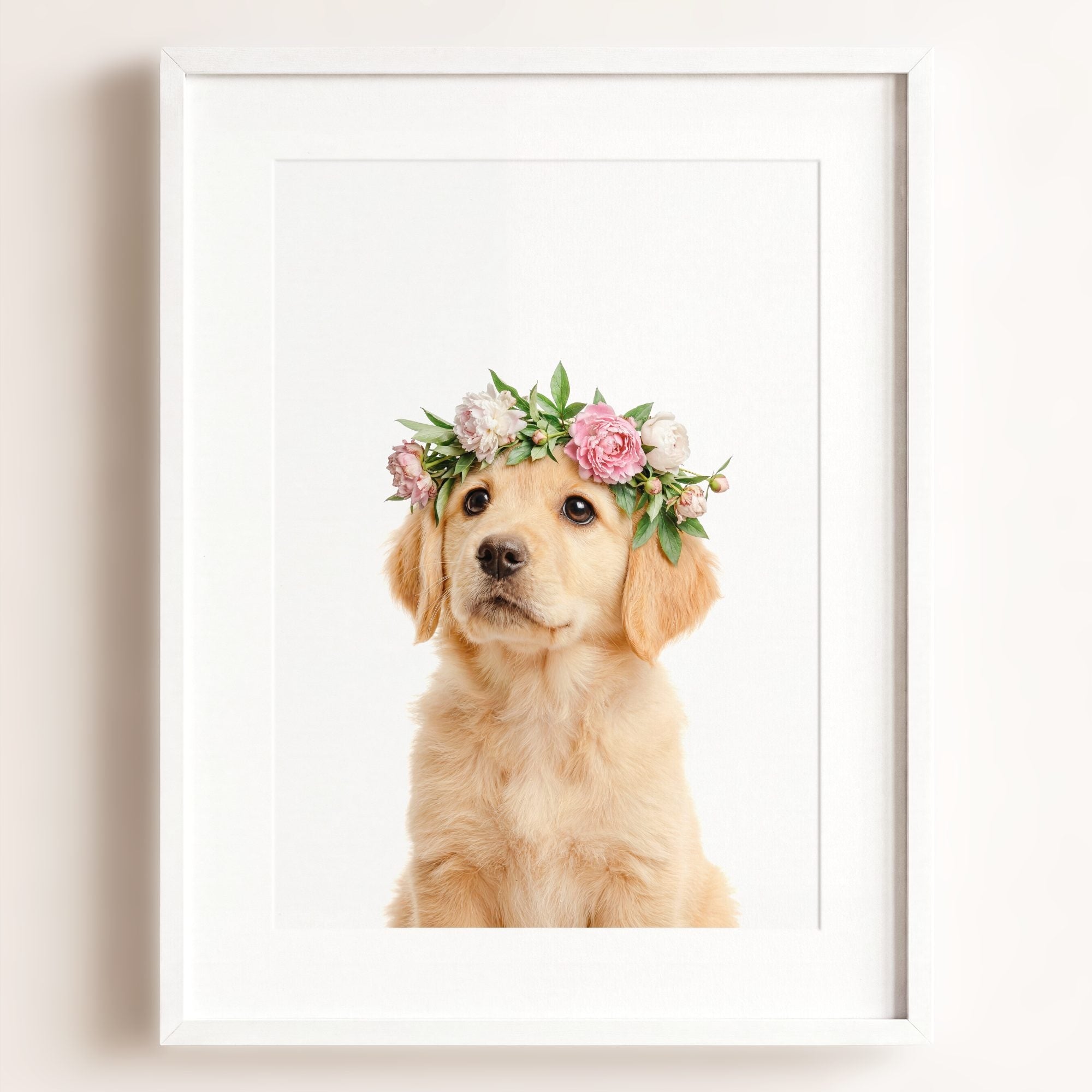 Baby Puppy Golden Retriever Portrait