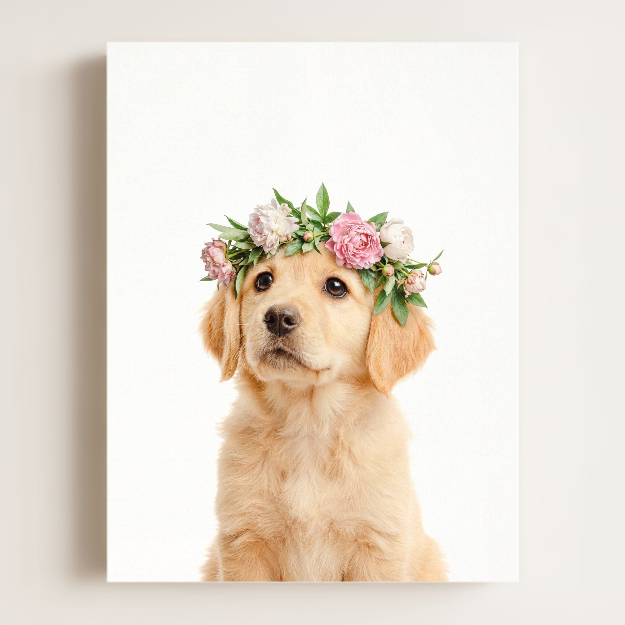 Baby Puppy Golden Retriever Portrait