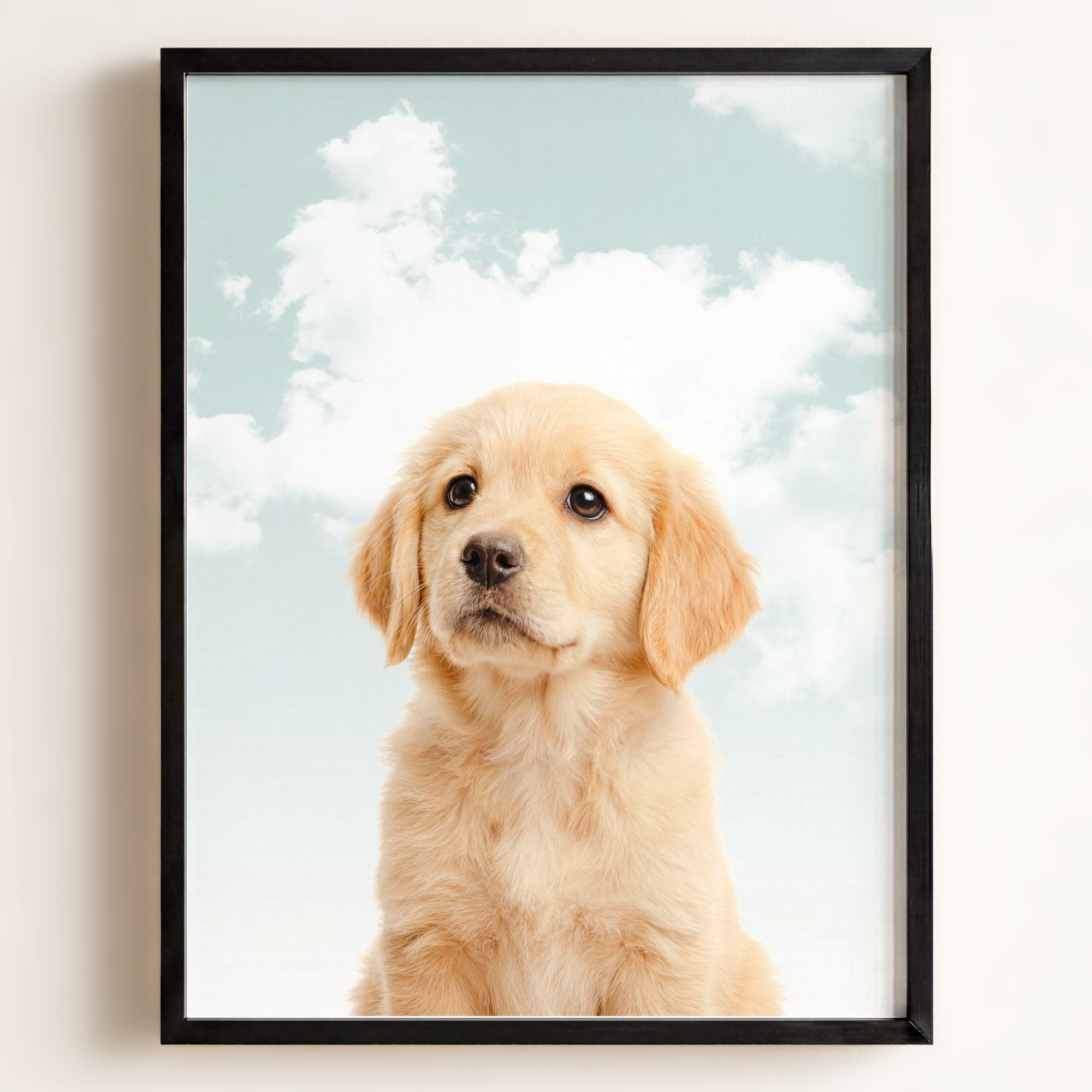 Baby Puppy Golden Retriever Portrait