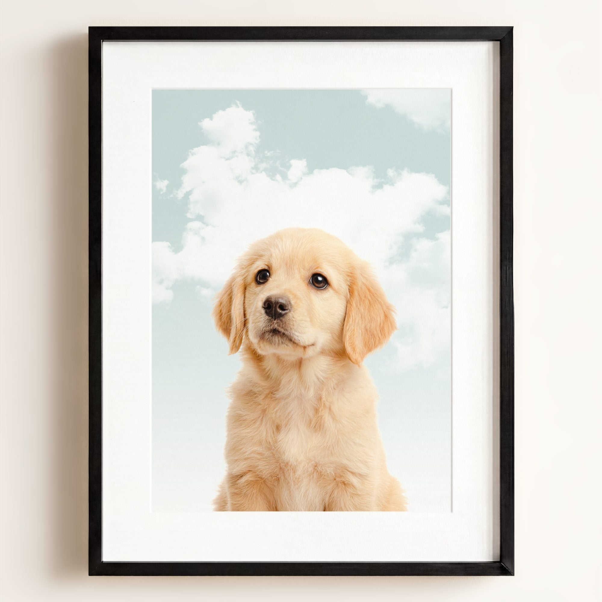 Baby Puppy Golden Retriever Portrait