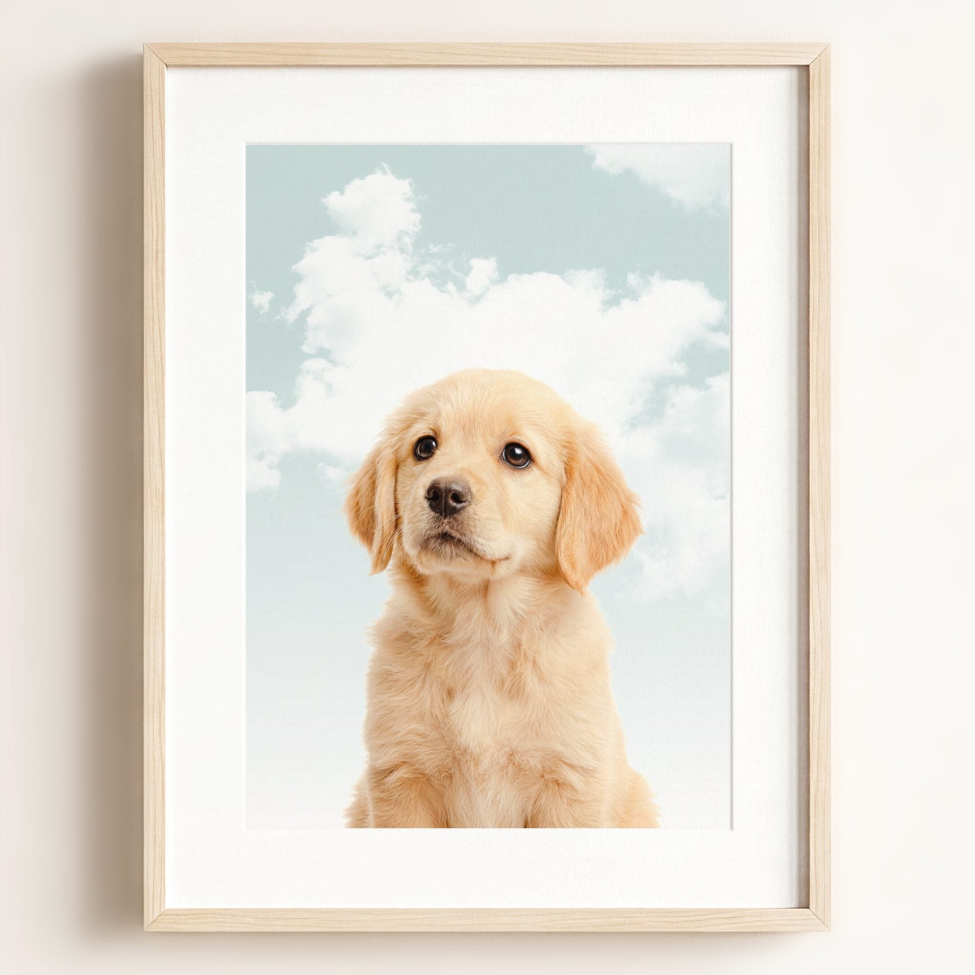 Baby Puppy Golden Retriever Portrait