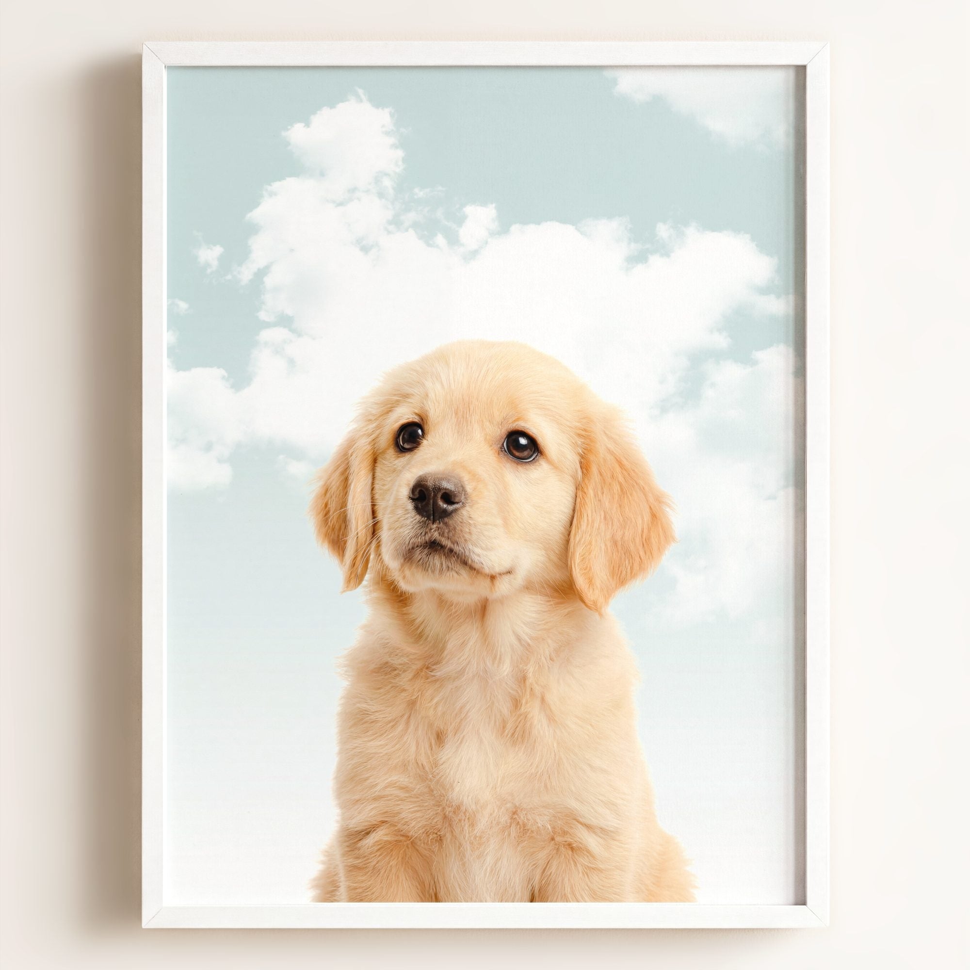 Baby Puppy Golden Retriever Portrait