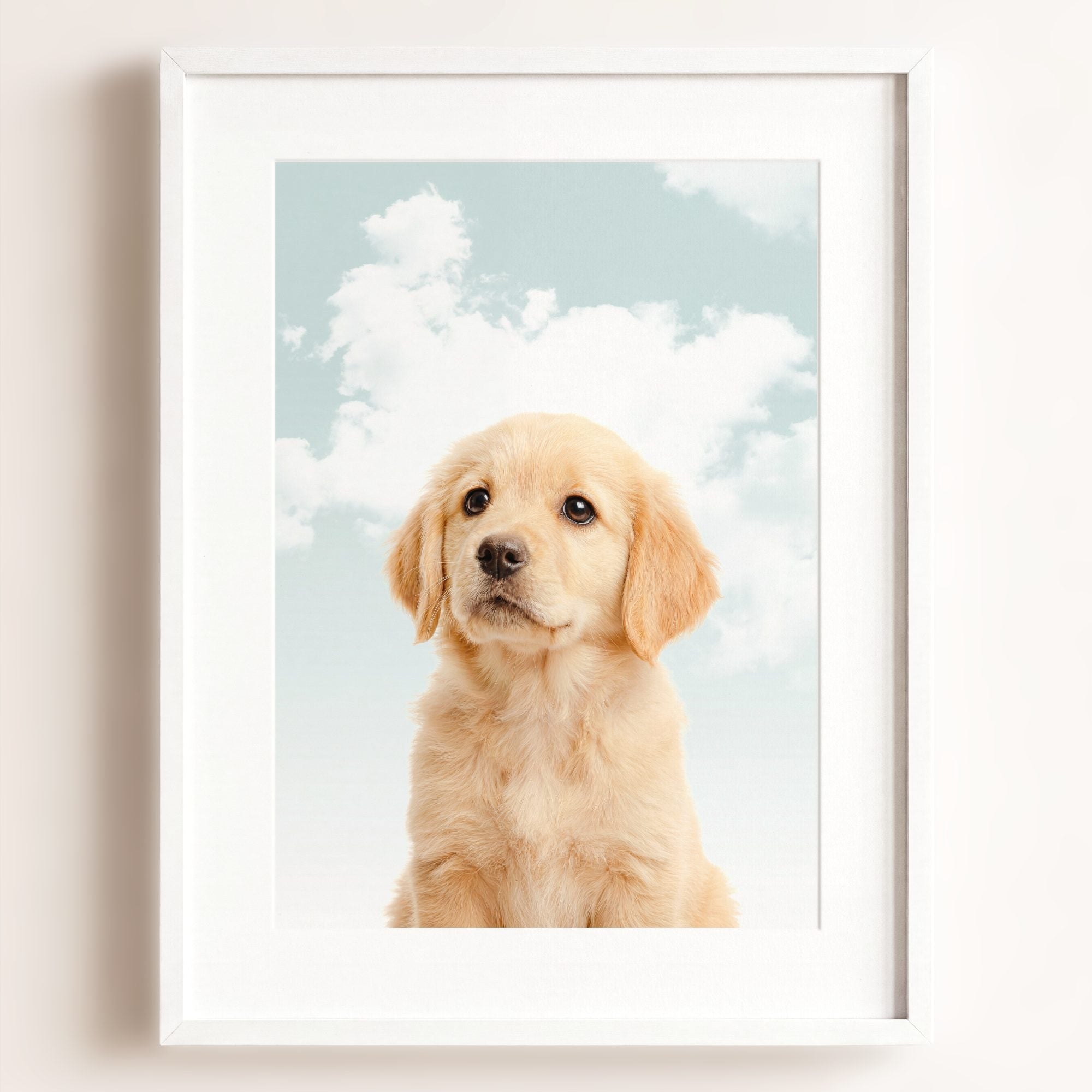 Baby Puppy Golden Retriever Portrait