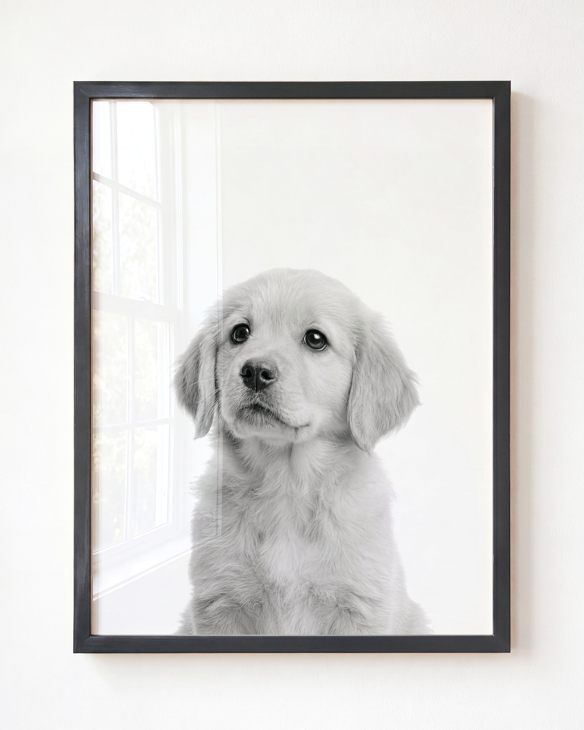 Baby Puppy Golden Retriever Portrait
