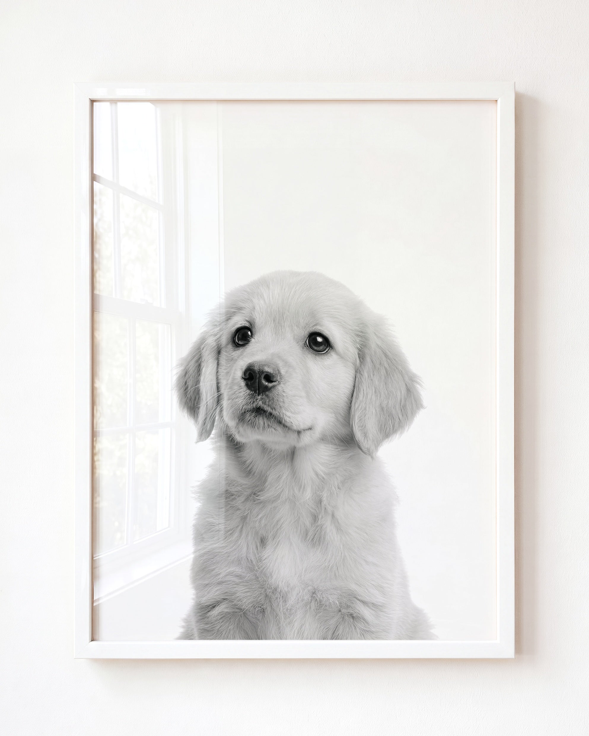 Baby Puppy Golden Retriever Portrait