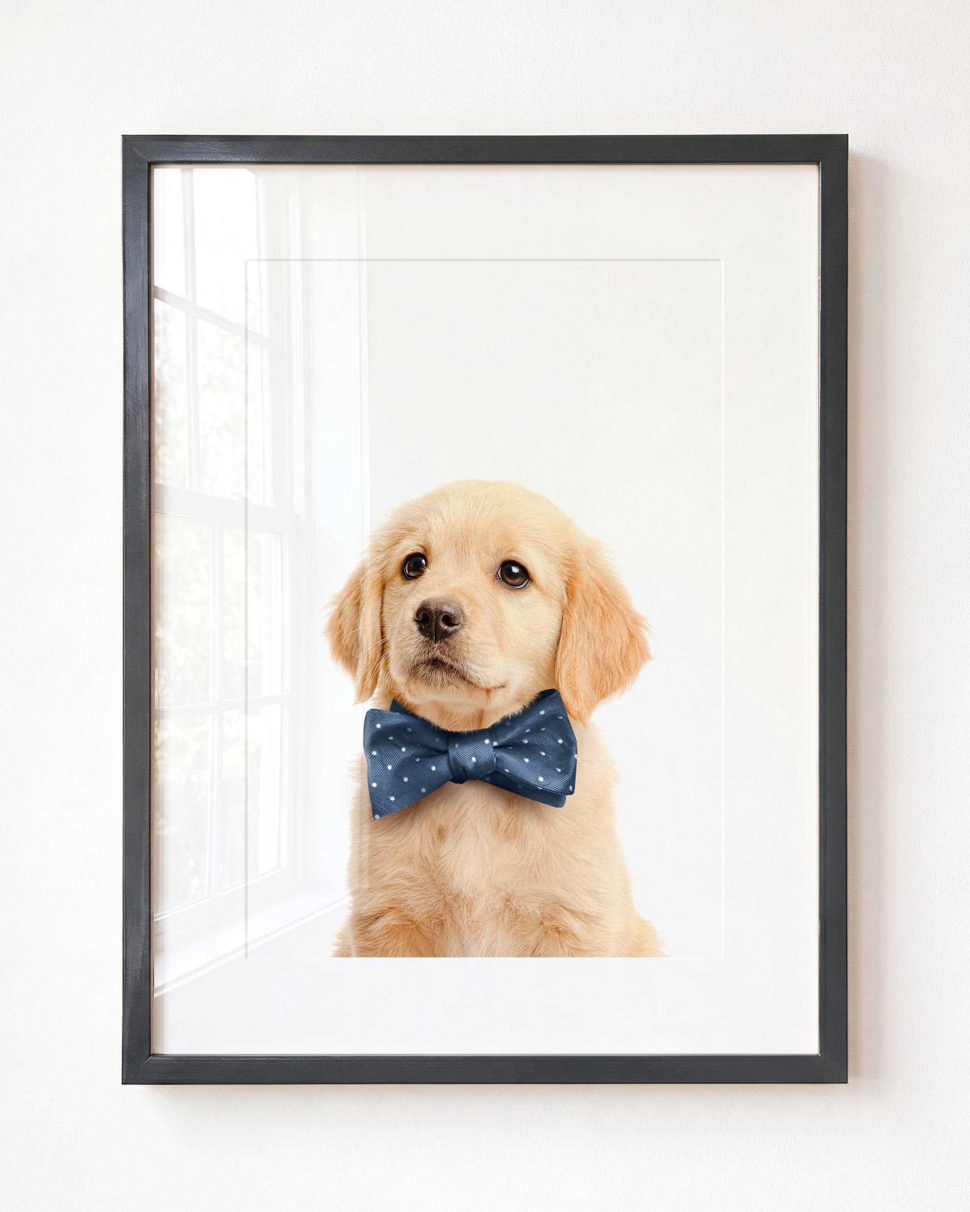 Baby Puppy Golden Retriever Portrait