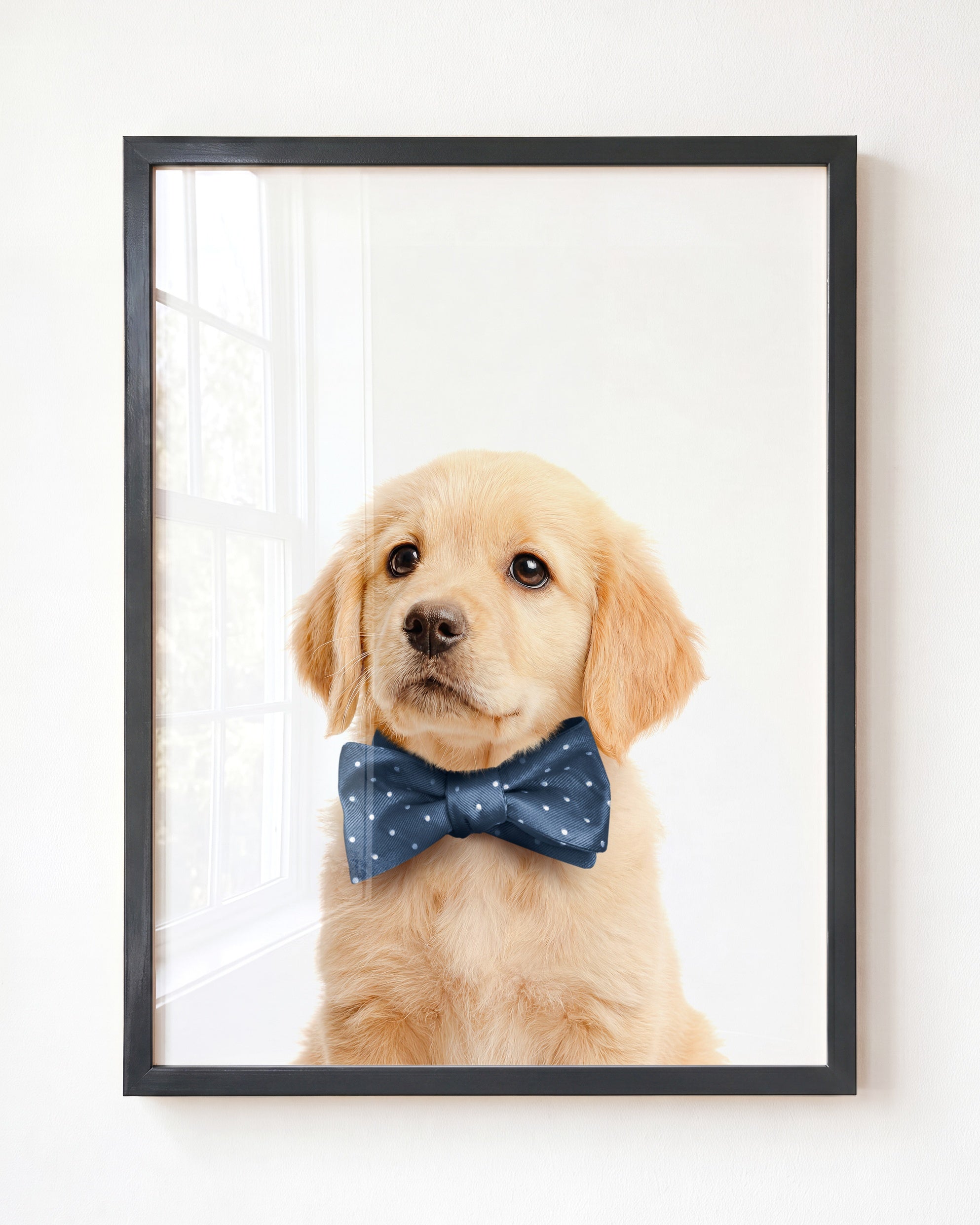 Baby Puppy Golden Retriever Portrait