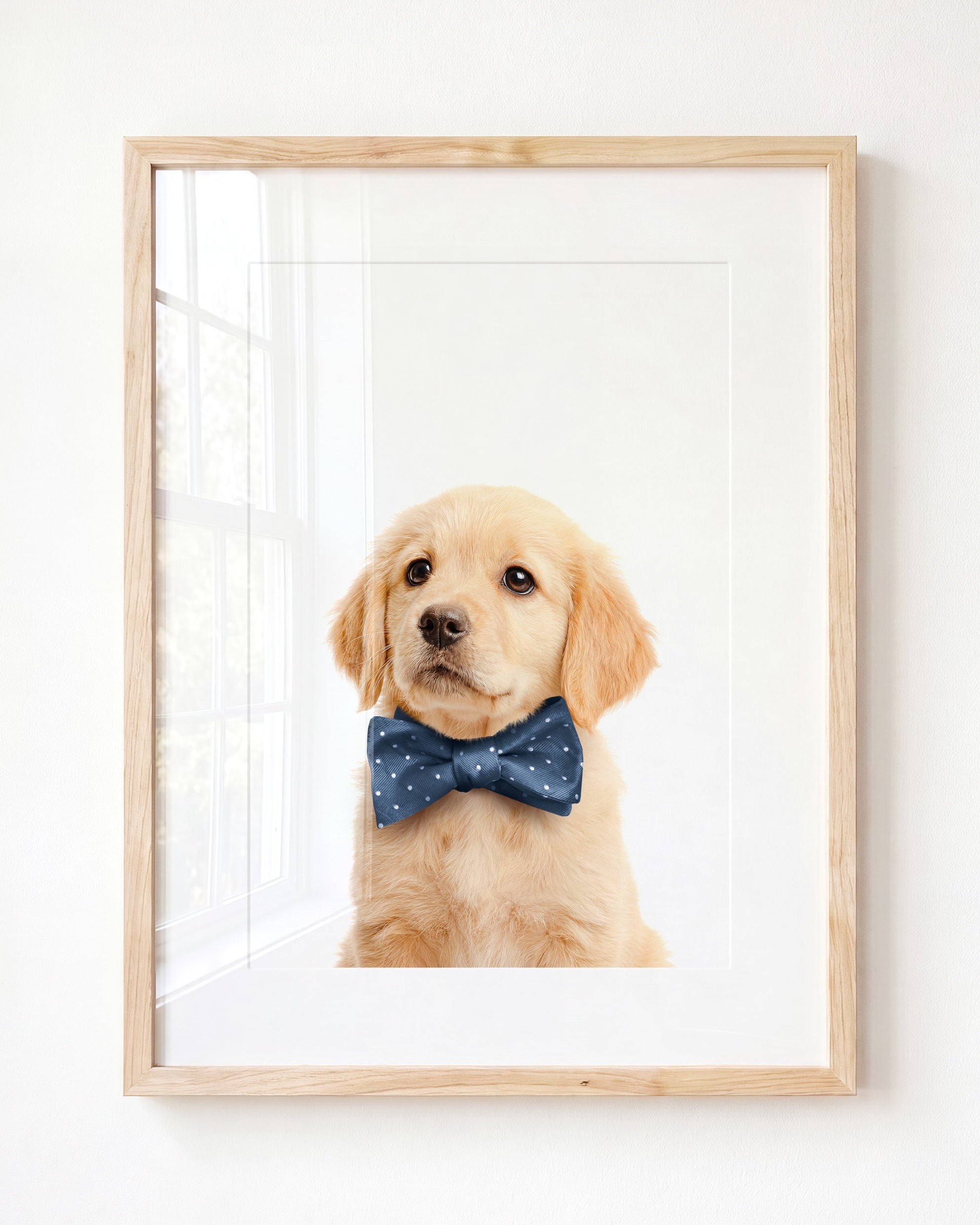 Baby Puppy Golden Retriever Portrait