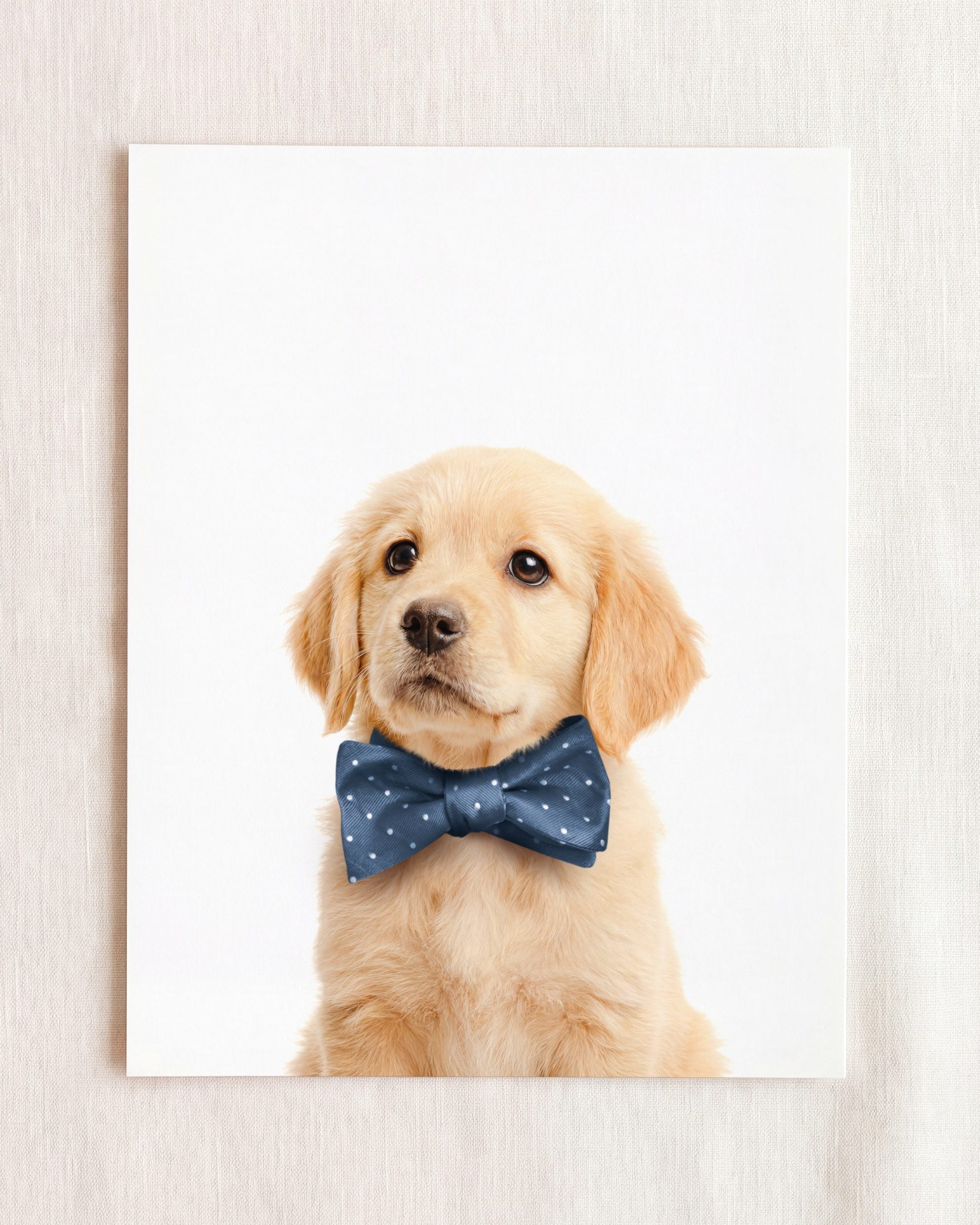 Baby Puppy Golden Retriever Portrait