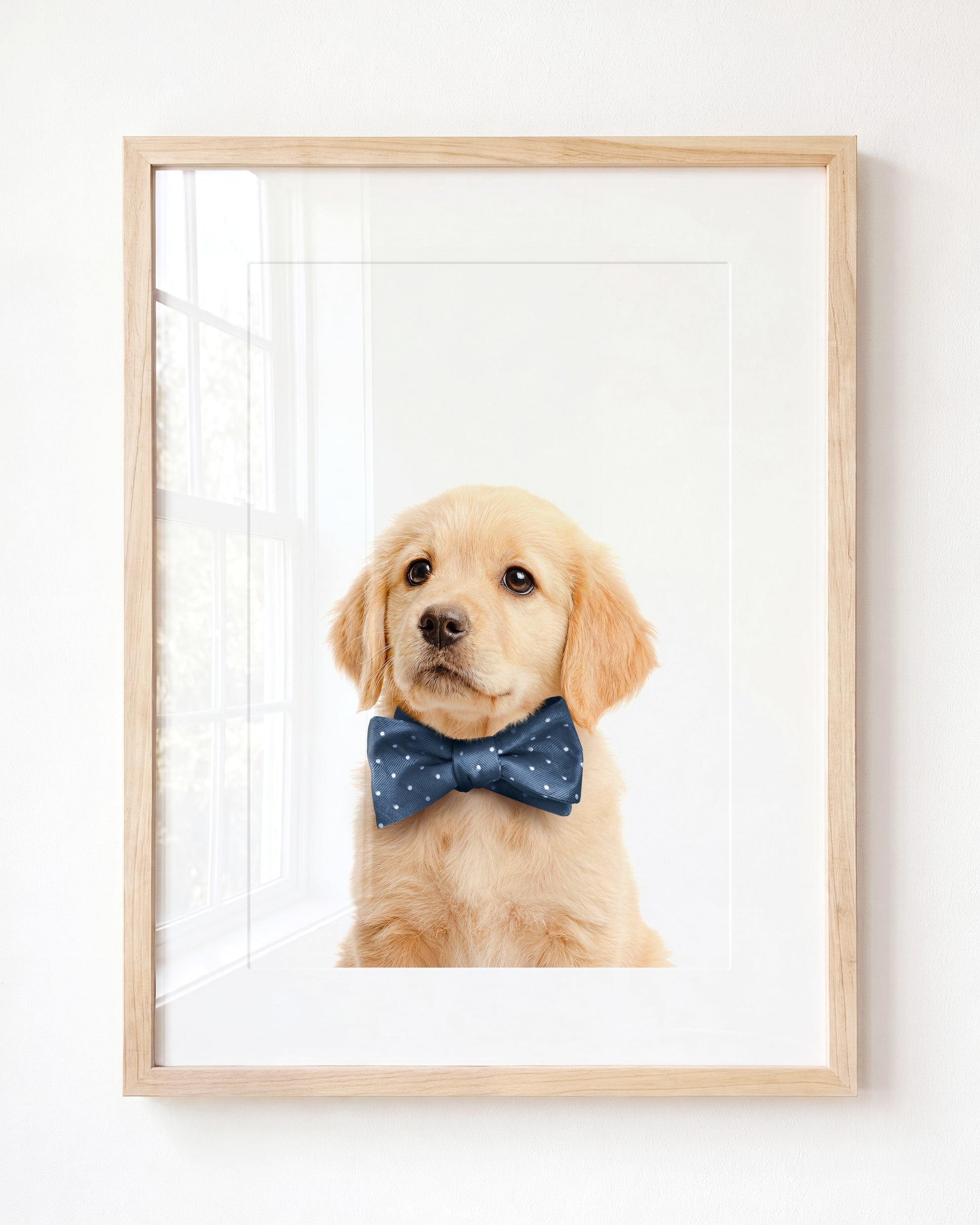 Baby Puppy Golden Retriever Portrait