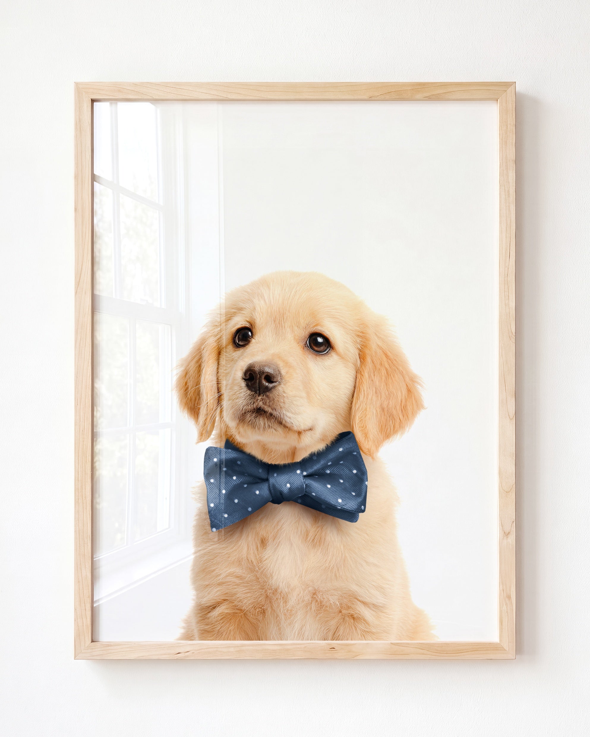 Baby Puppy Golden Retriever Portrait