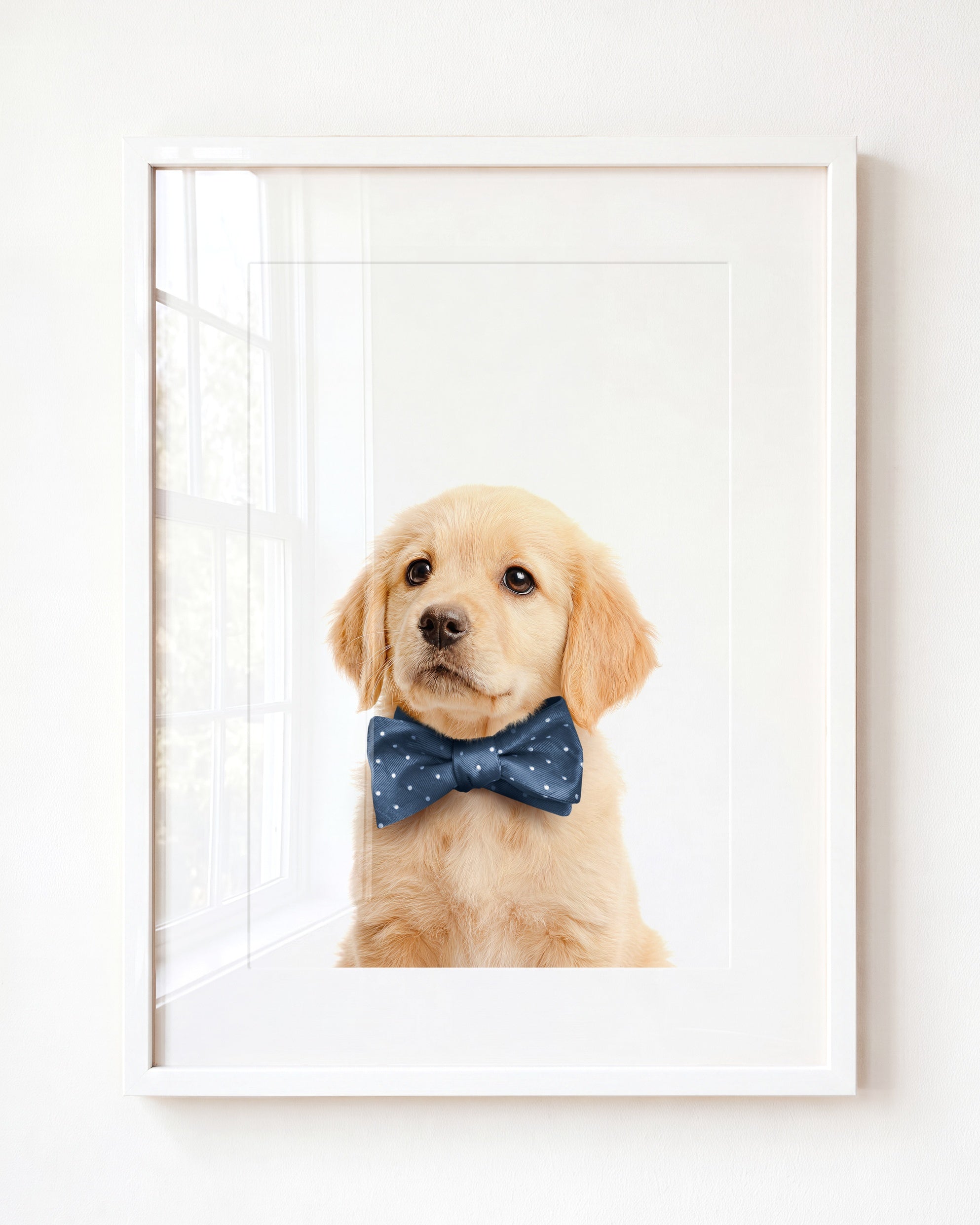 Baby Puppy Golden Retriever Portrait