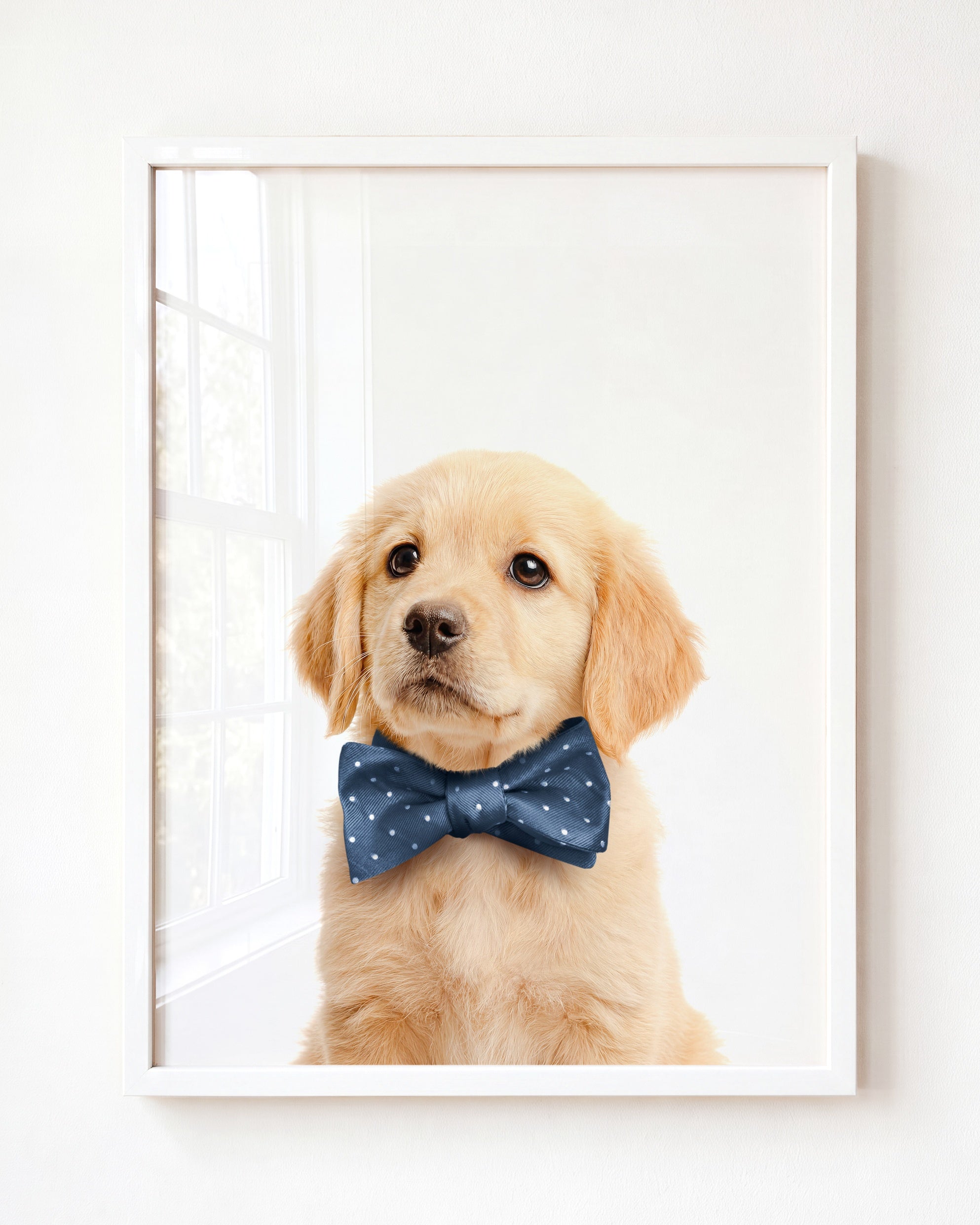 Baby Puppy Golden Retriever Portrait