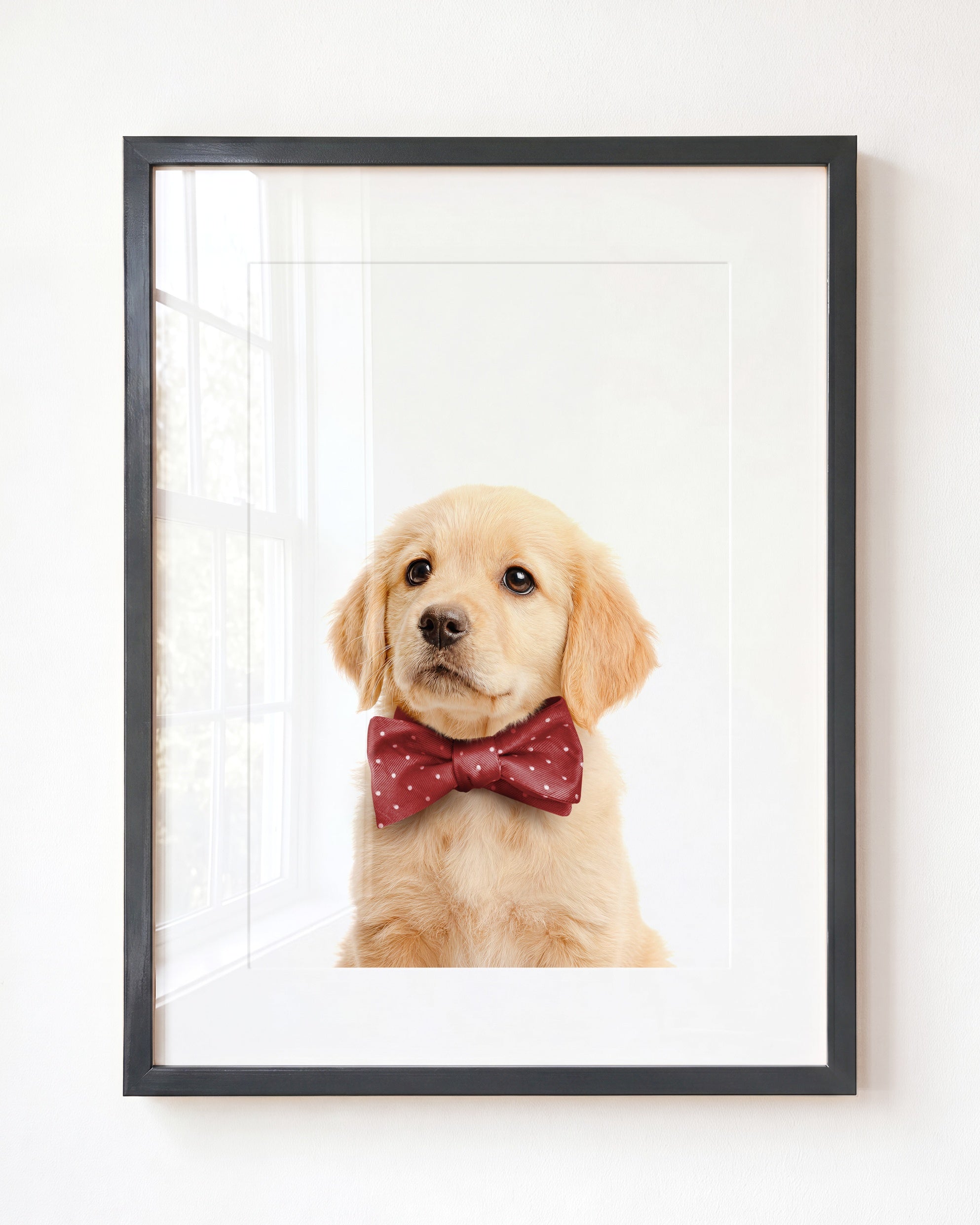 Baby Puppy Golden Retriever Portrait