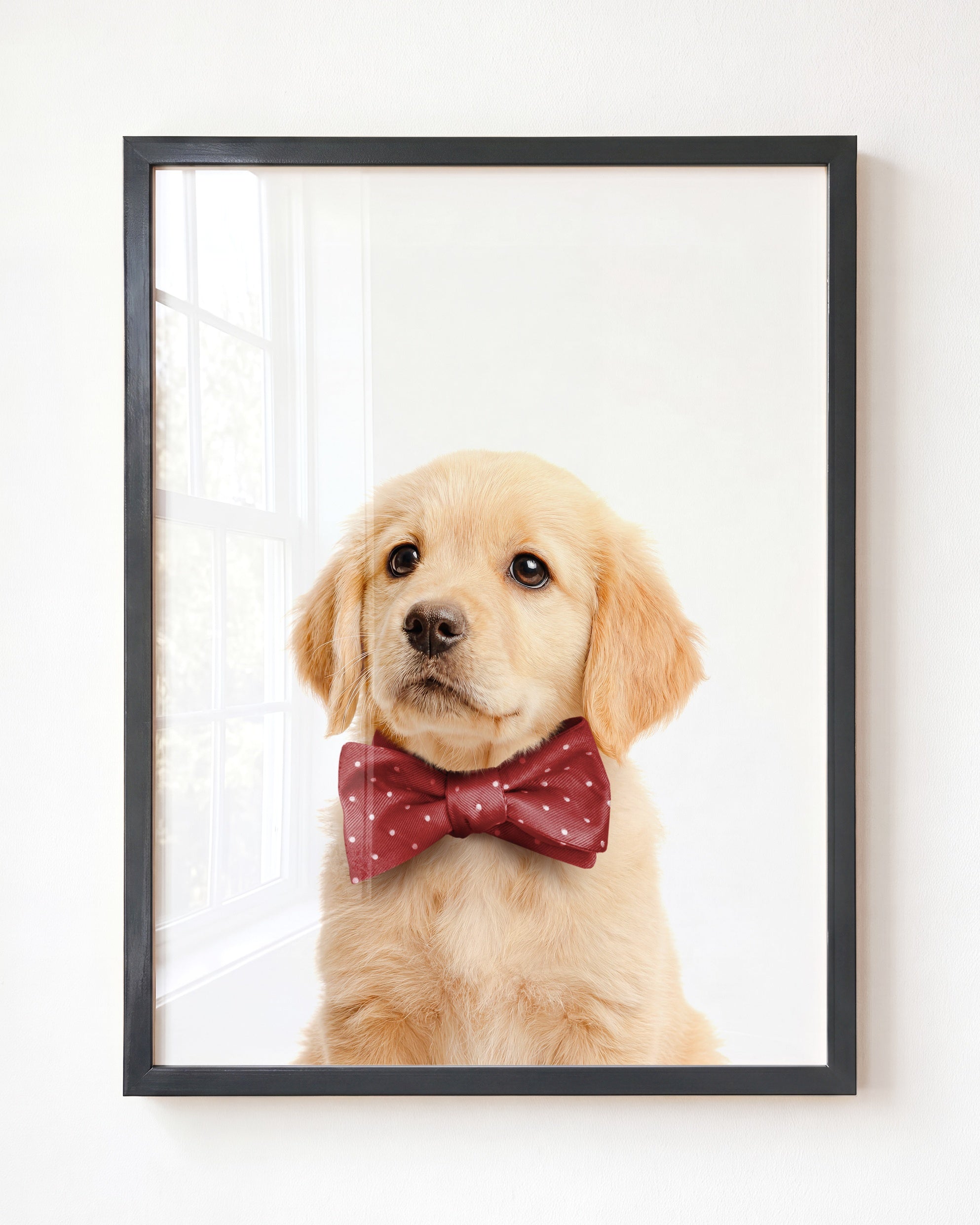 Baby Puppy Golden Retriever Portrait