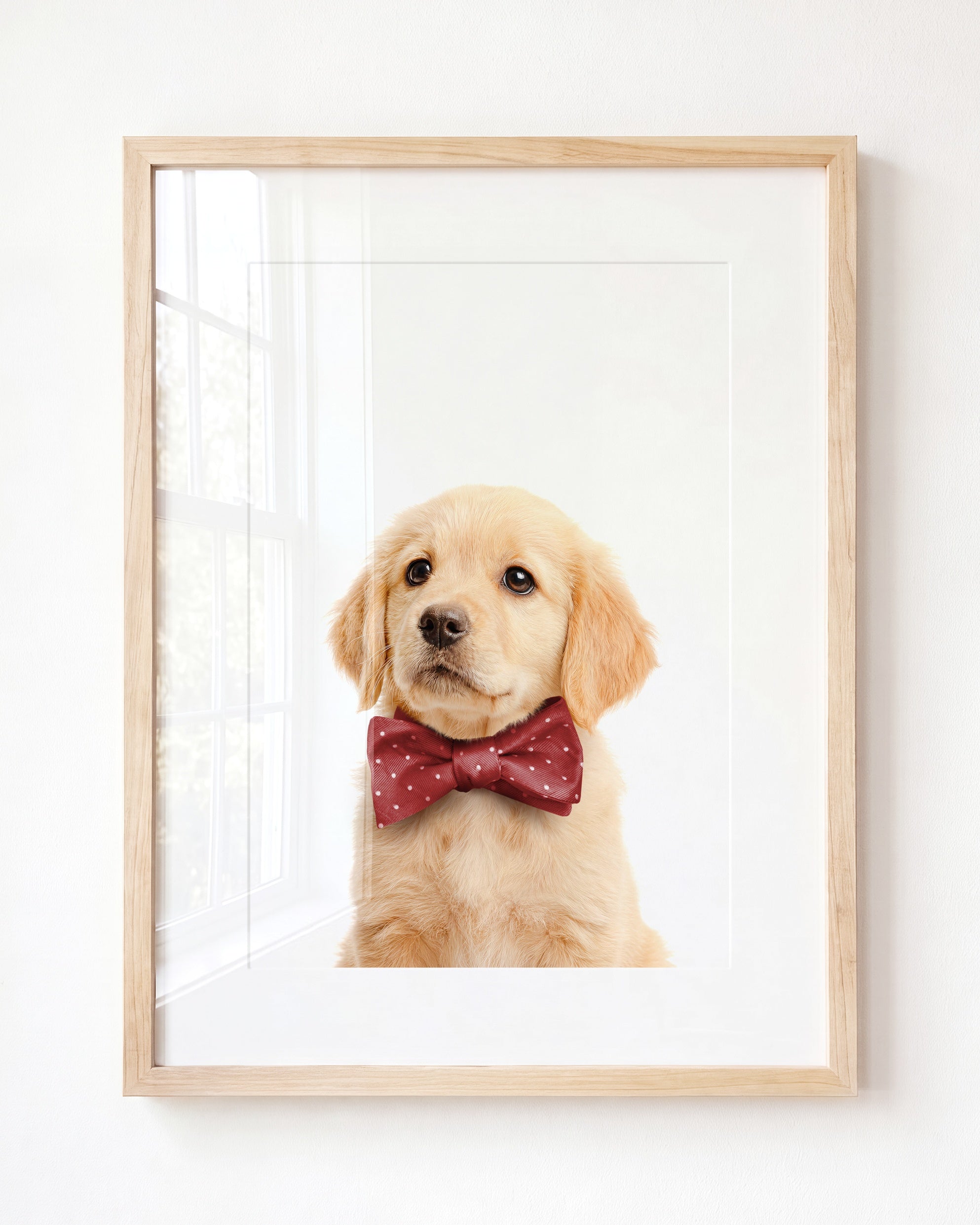 Baby Puppy Golden Retriever Portrait