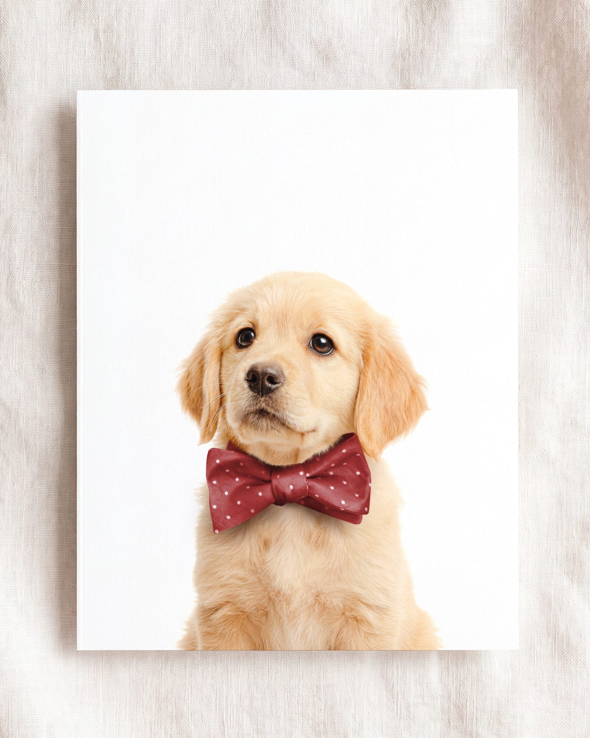 Baby Puppy Golden Retriever Portrait