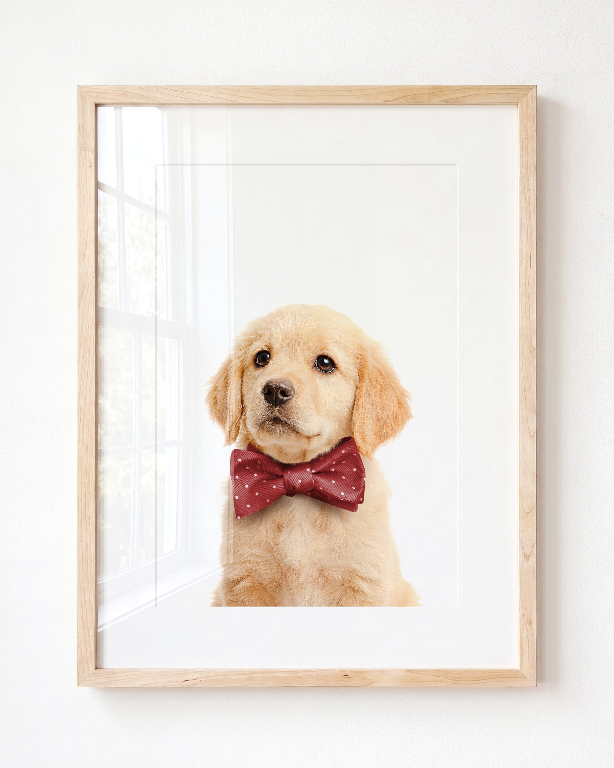 Baby Puppy Golden Retriever Portrait