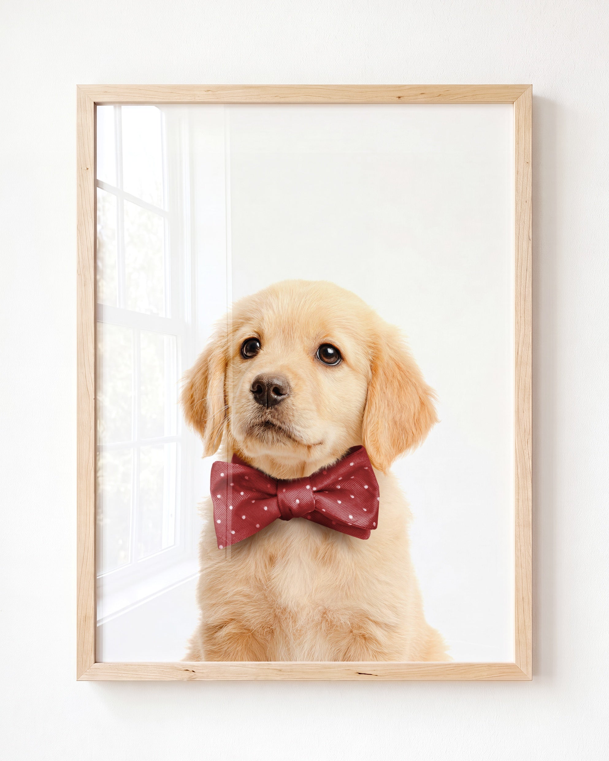 Baby Puppy Golden Retriever Portrait