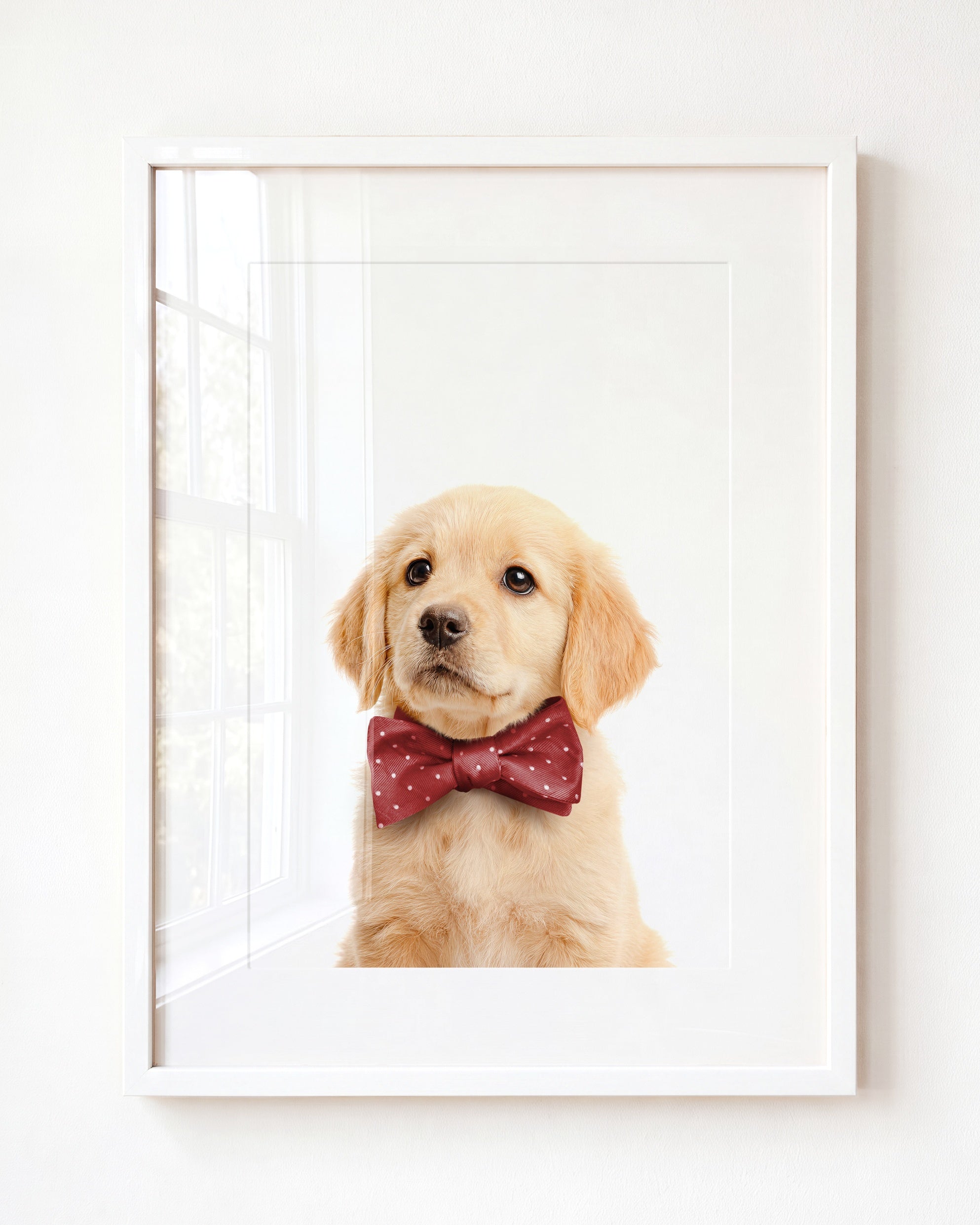 Baby Puppy Golden Retriever Portrait