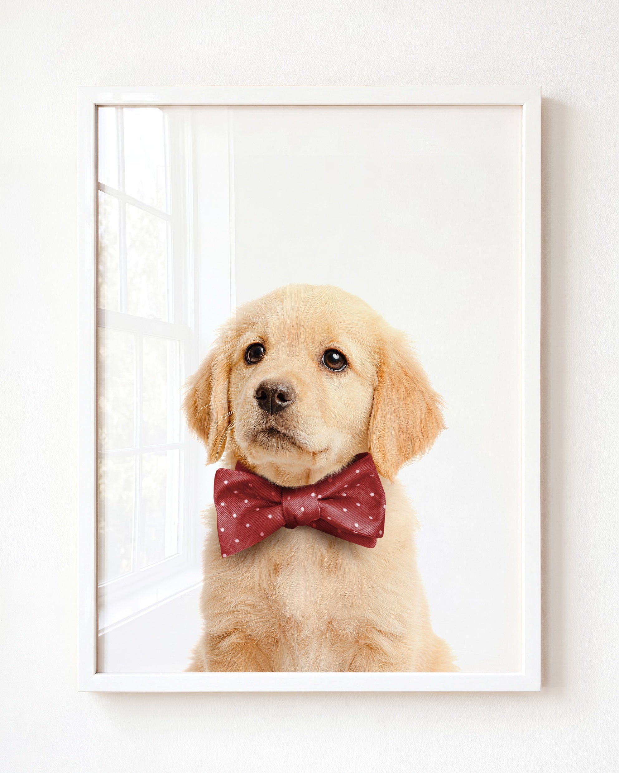 Baby Puppy Golden Retriever Portrait