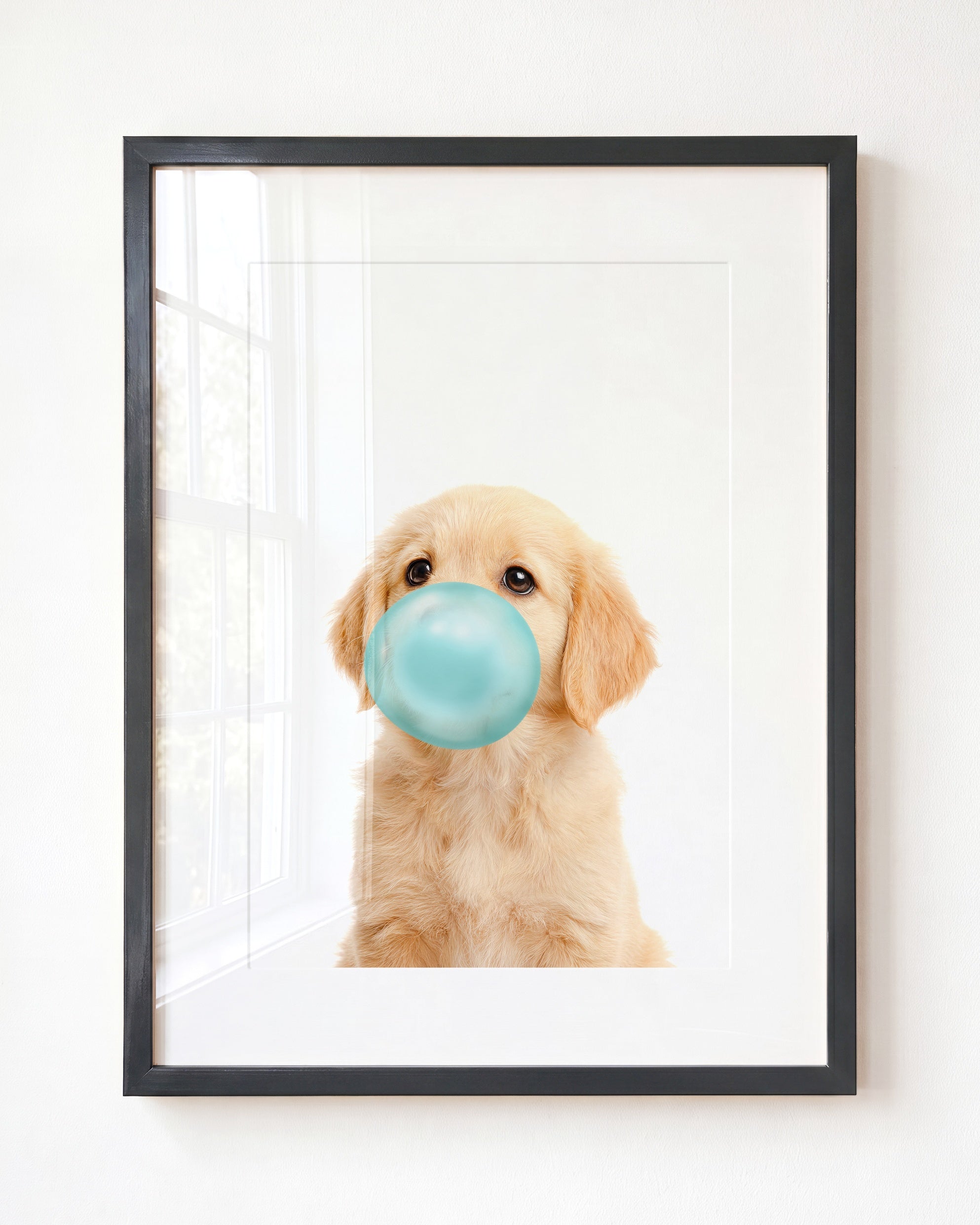 Baby Puppy Golden Retriever Portrait