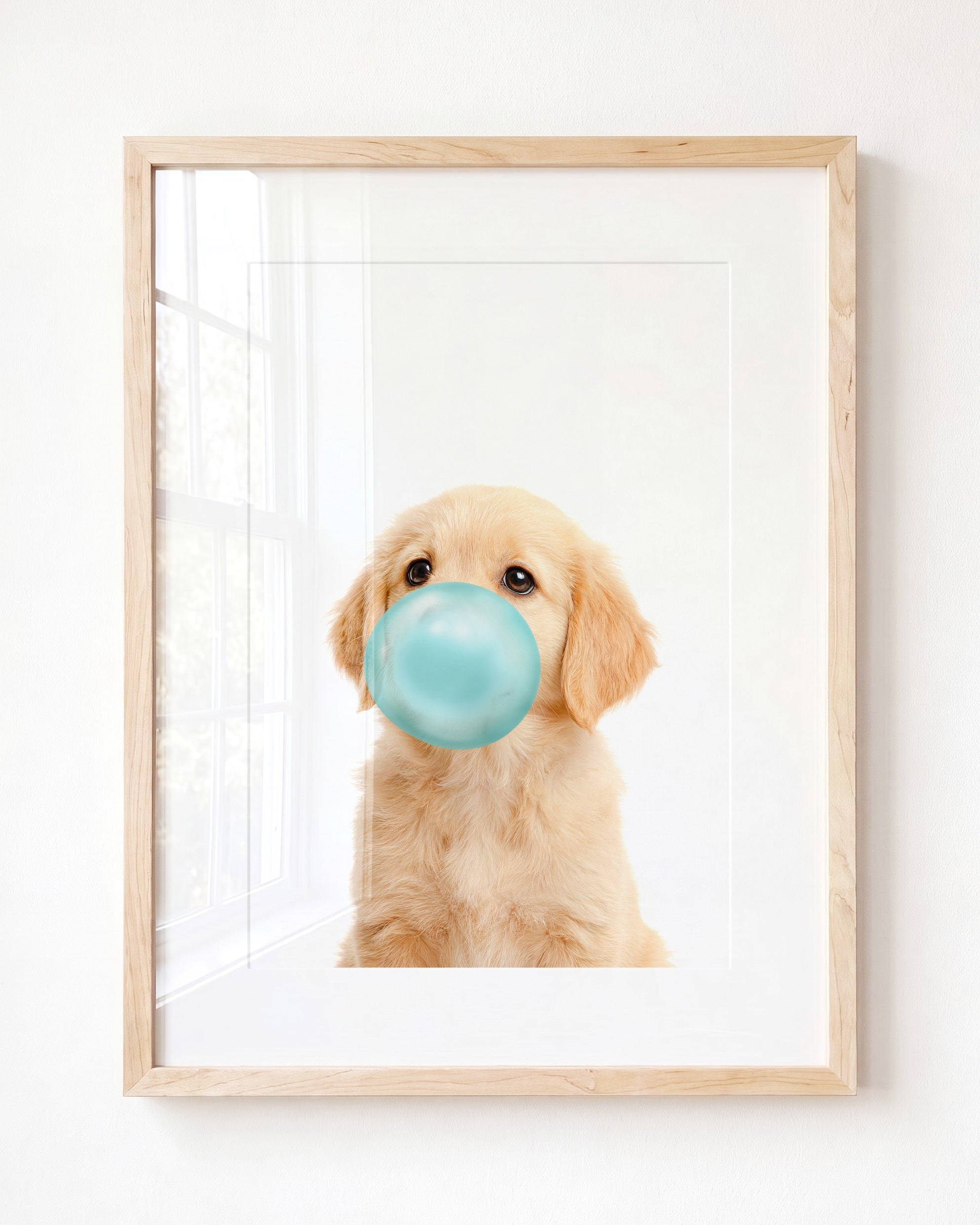 Baby Puppy Golden Retriever Portrait