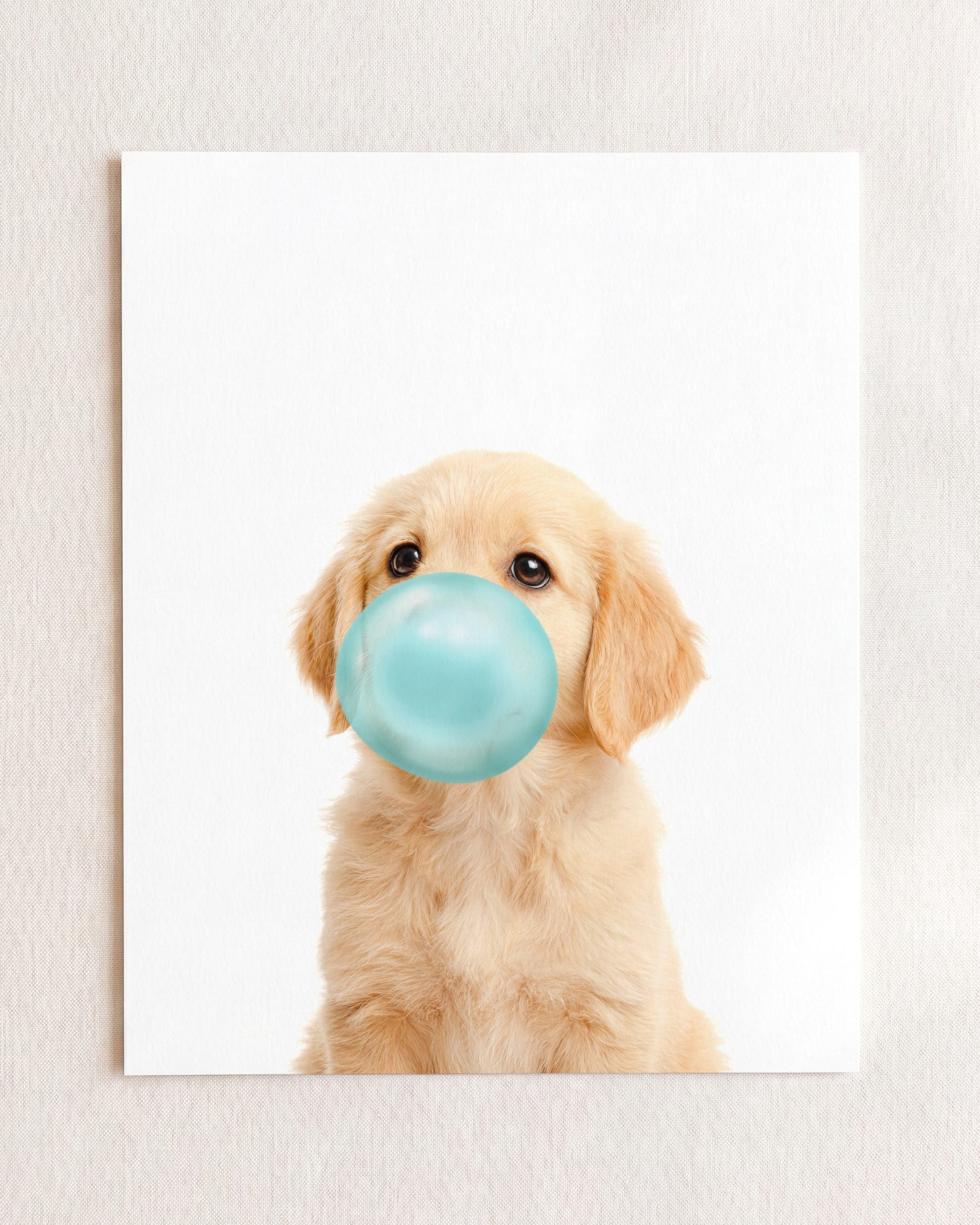 Baby Puppy Golden Retriever Portrait