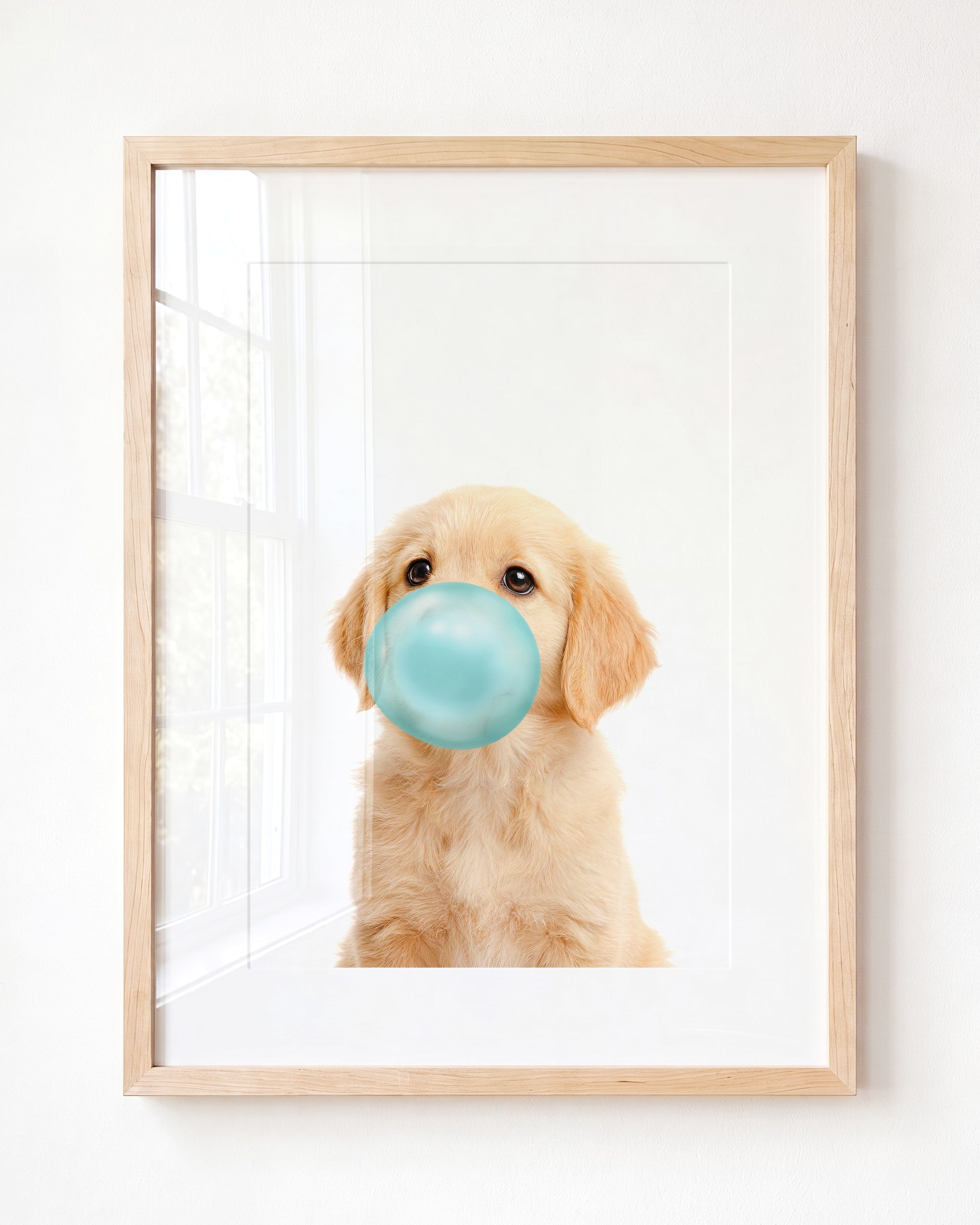 Baby Puppy Golden Retriever Portrait