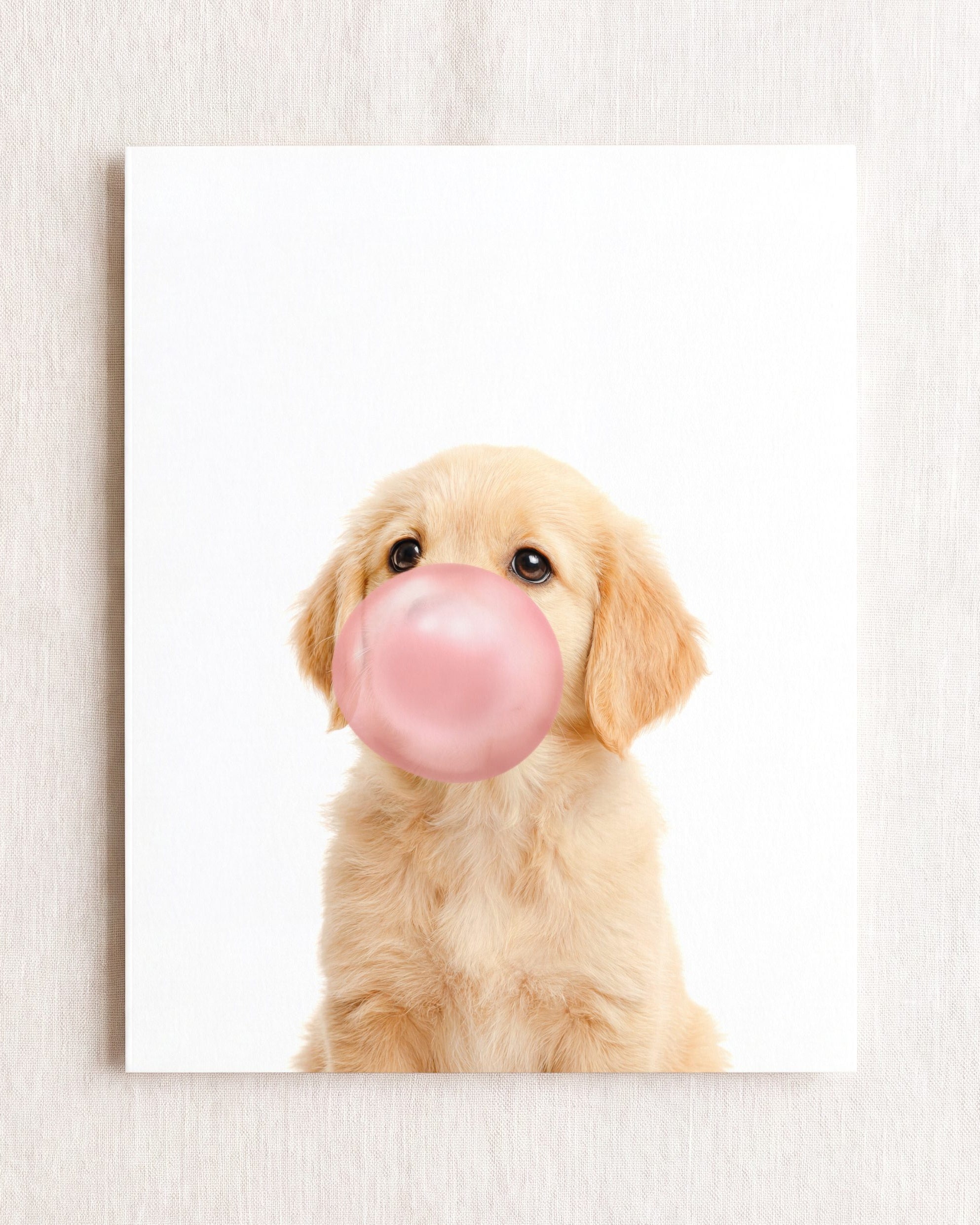 Baby Puppy Golden Retriever Portrait