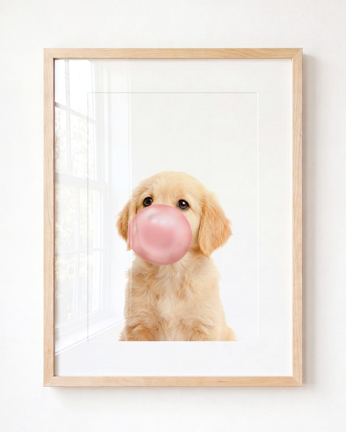 Baby Puppy Golden Retriever Portrait