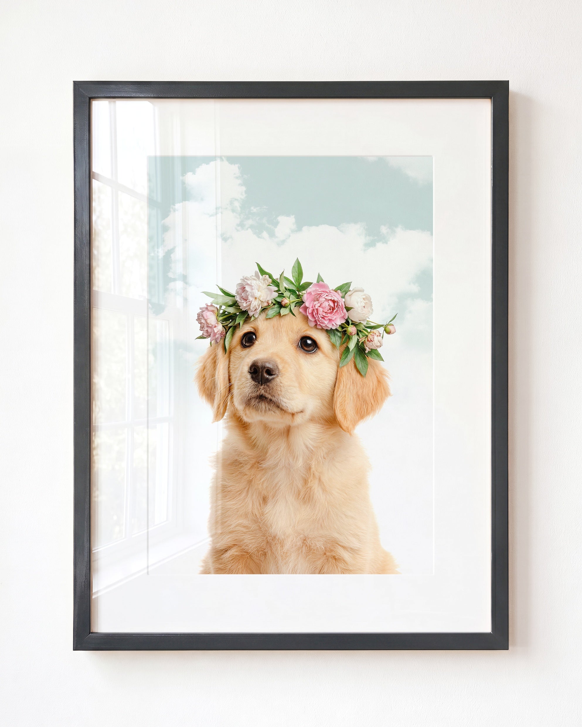 Baby Puppy Golden Retriever Portrait