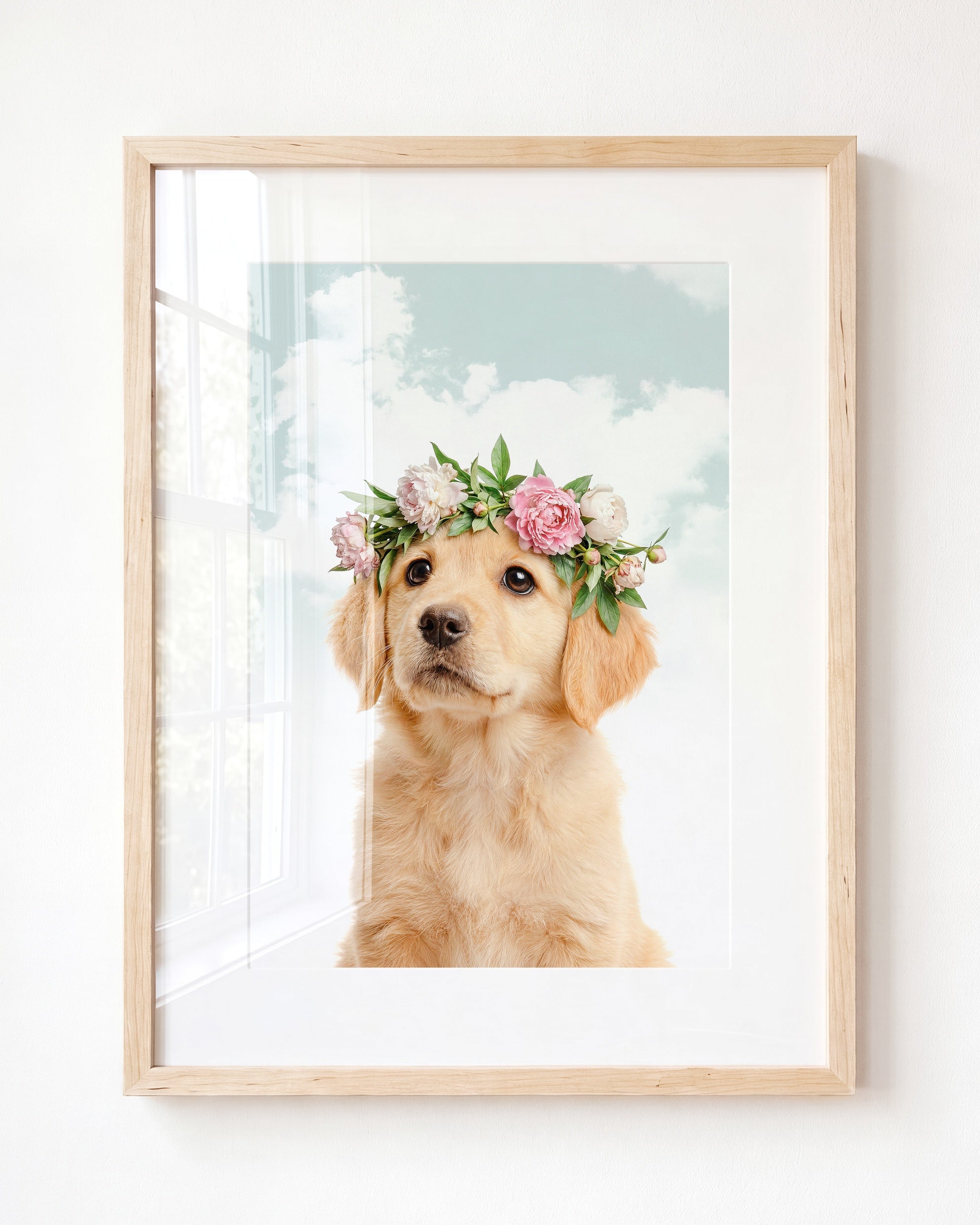 Baby Puppy Golden Retriever Portrait