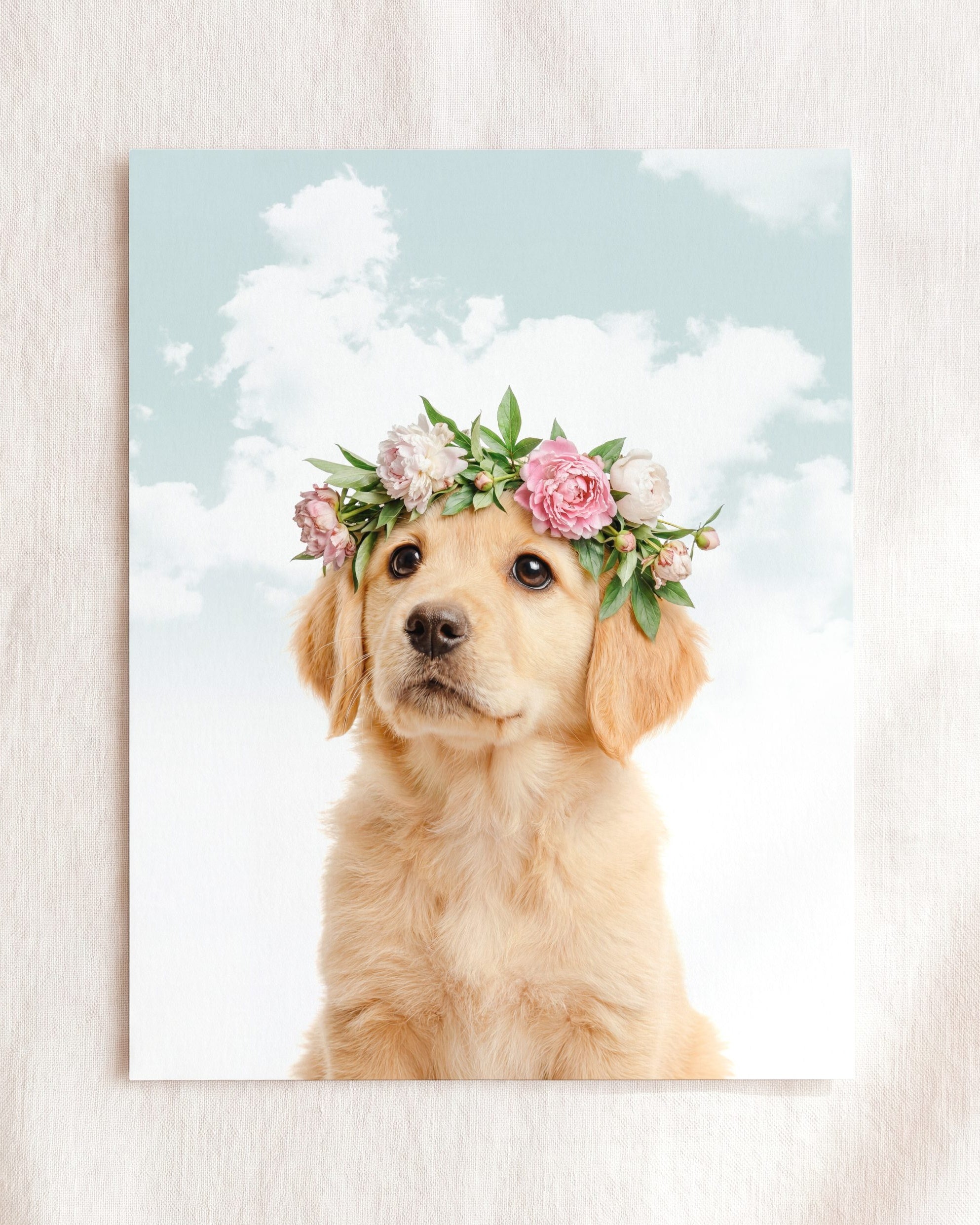 Baby Puppy Golden Retriever Portrait